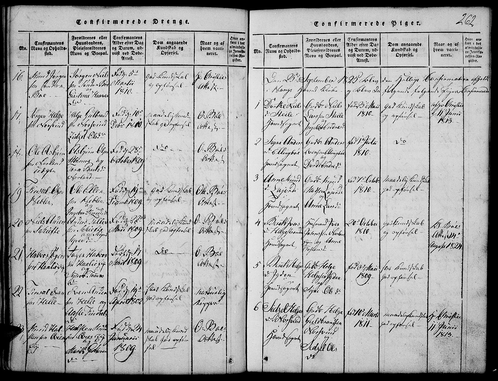 Vang prestekontor, Valdres, SAH/PREST-140/H/Hb/L0002: Parish register (copy) no. 2, 1814-1889, p. 262