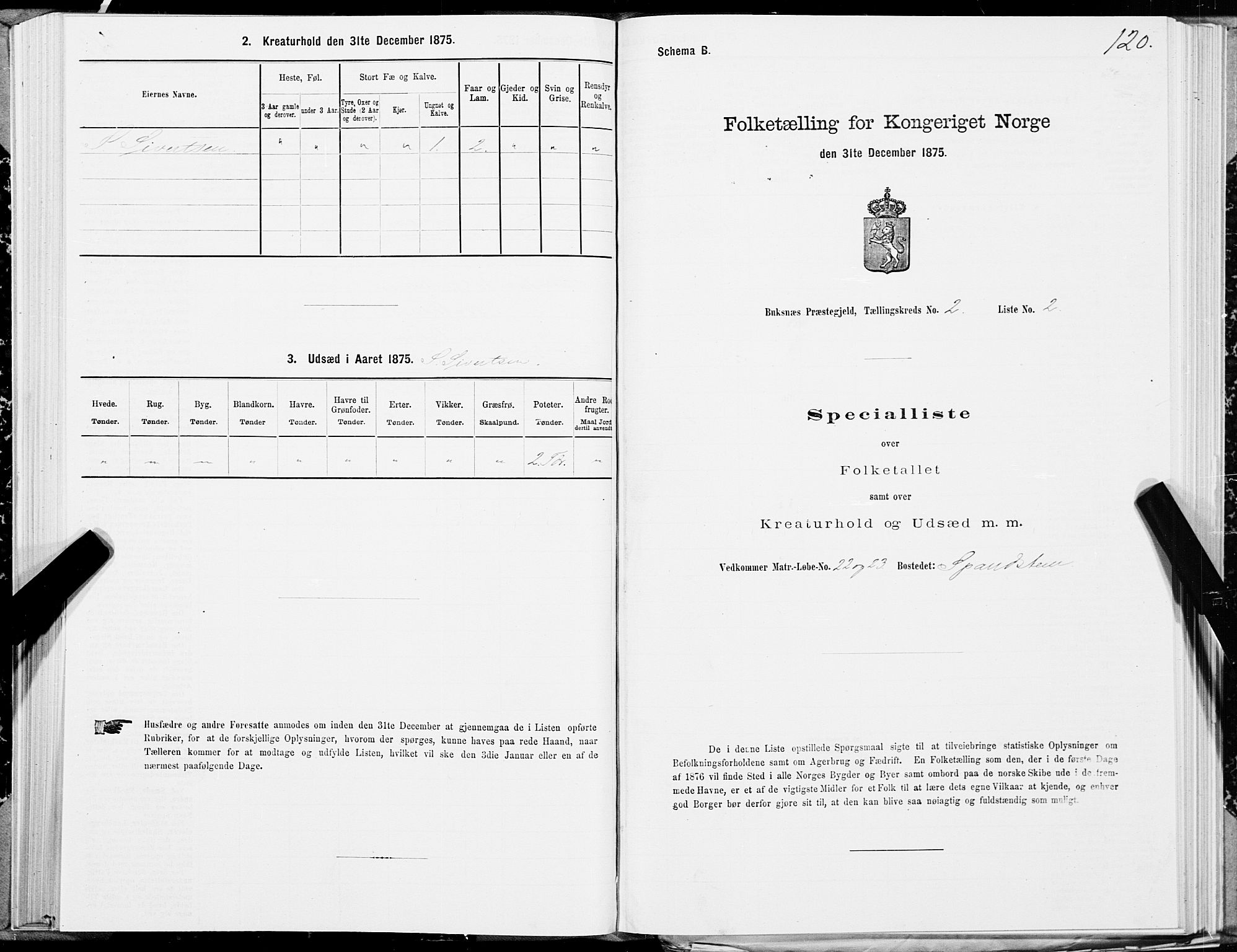 SAT, 1875 census for 1860P Buksnes, 1875, p. 1120