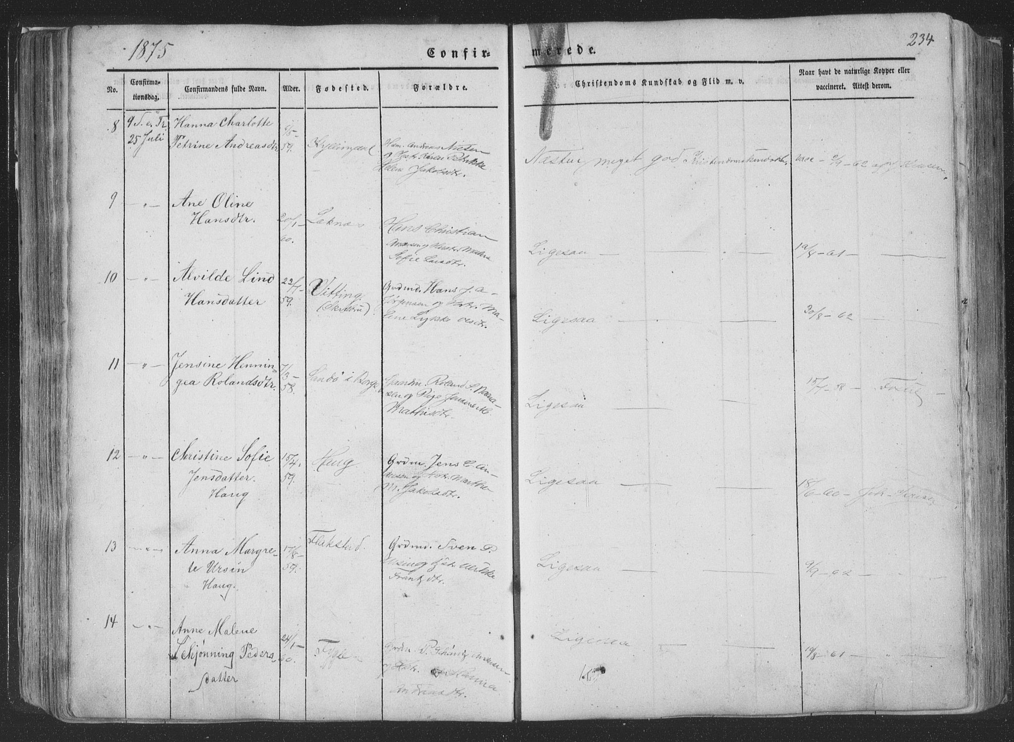 Ministerialprotokoller, klokkerbøker og fødselsregistre - Nordland, AV/SAT-A-1459/881/L1165: Parish register (copy) no. 881C02, 1854-1876, p. 234