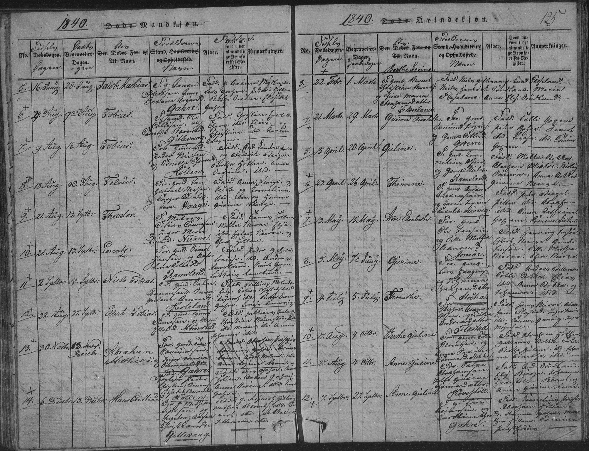 Sør-Audnedal sokneprestkontor, SAK/1111-0039/F/Fb/Fba/L0001: Parish register (copy) no. B 1, 1815-1850, p. 125