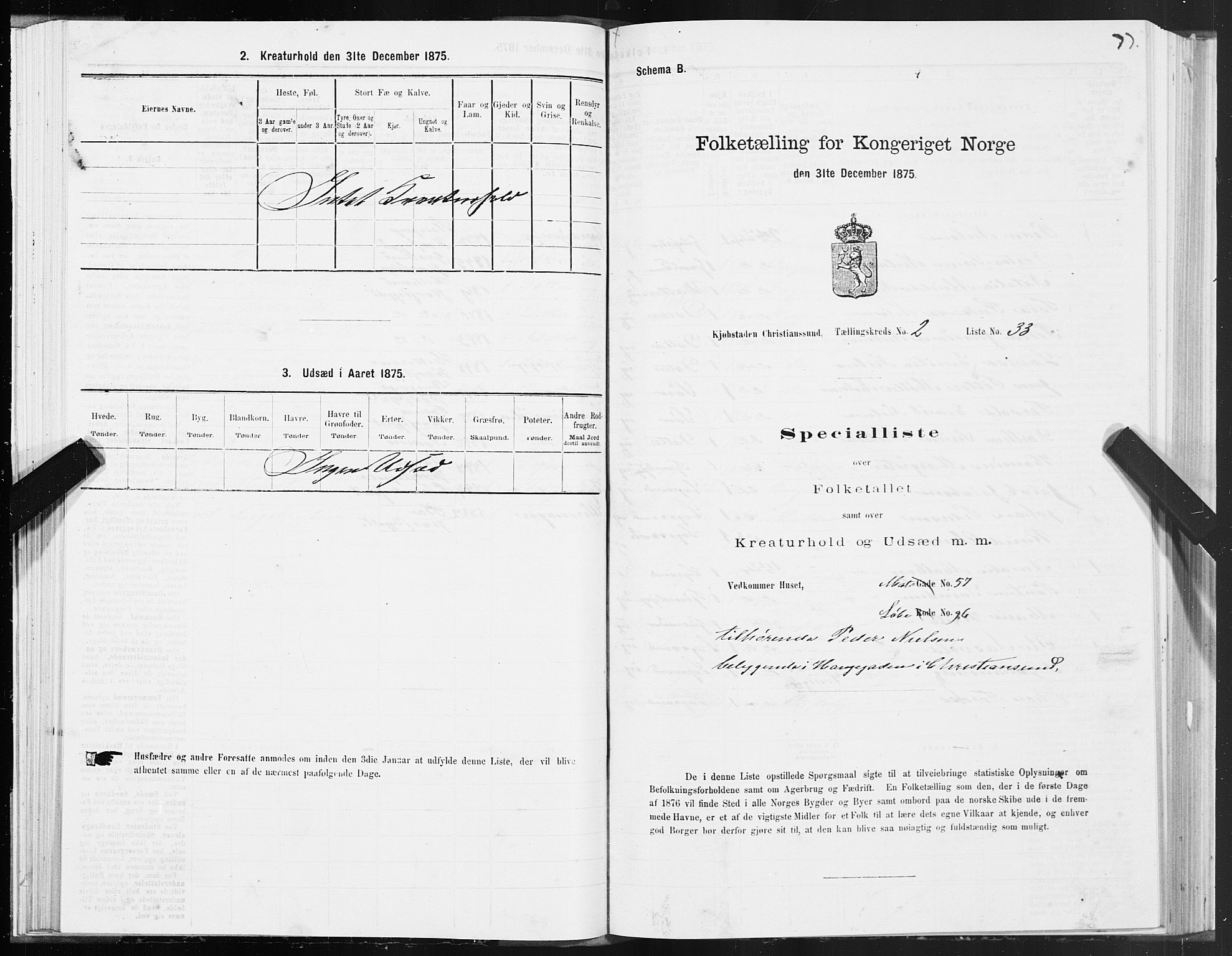 SAT, 1875 census for 1503B Kristiansund/Kristiansund, 1875, p. 2077