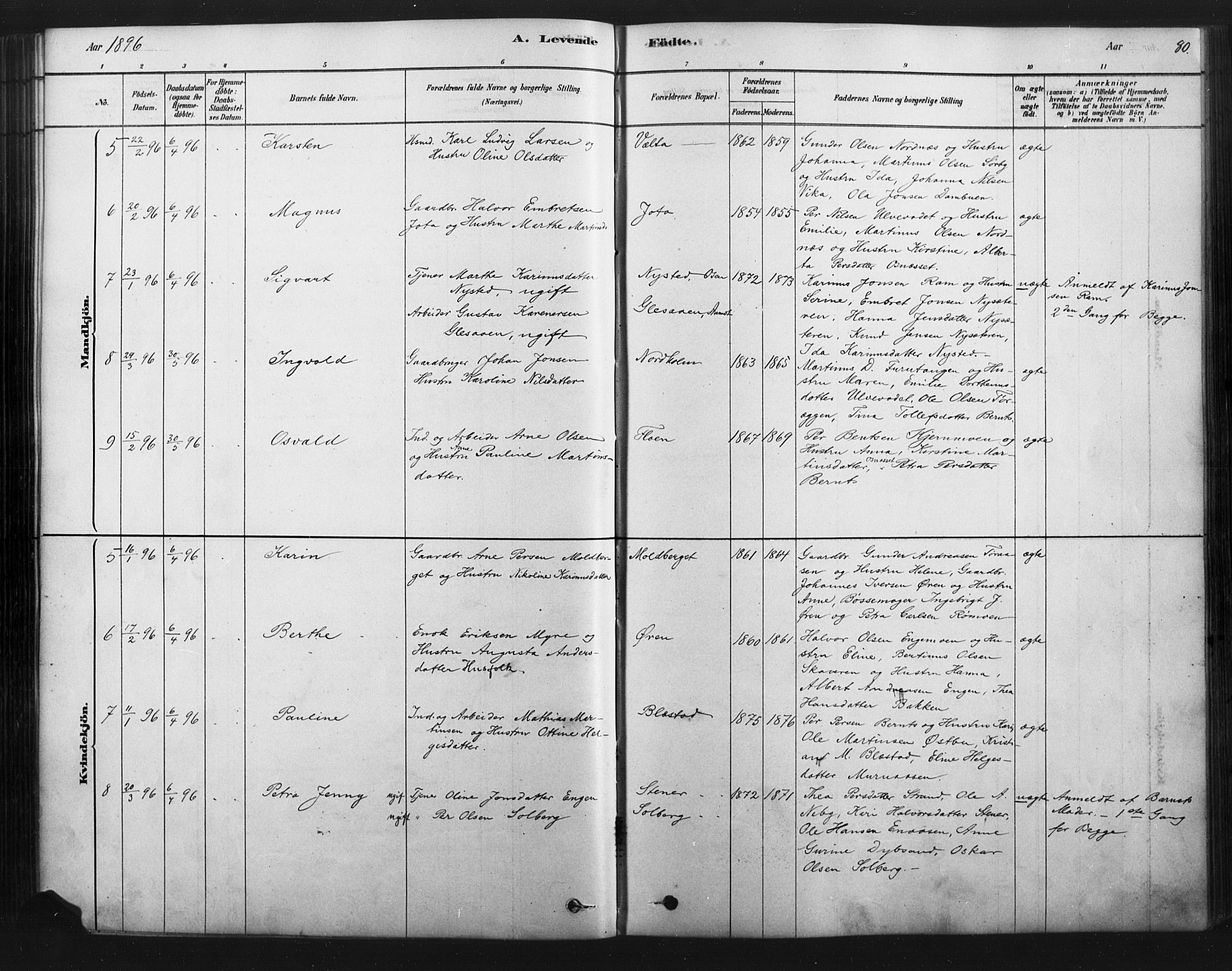 Åmot prestekontor, Hedmark, AV/SAH-PREST-056/H/Ha/Haa/L0012: Parish register (official) no. 12, 1878-1901, p. 80
