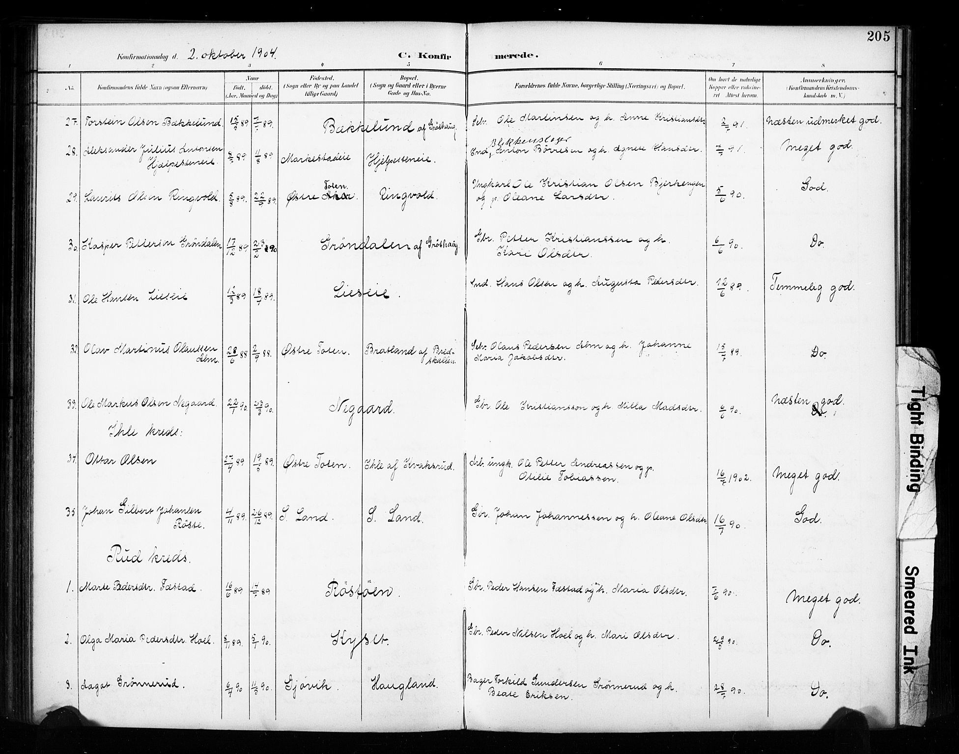 Vestre Toten prestekontor, AV/SAH-PREST-108/H/Ha/Haa/L0011: Parish register (official) no. 11, 1895-1906, p. 205