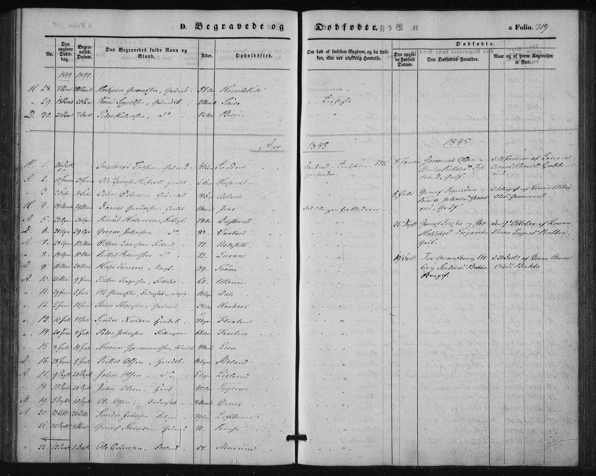 Tinn kirkebøker, AV/SAKO-A-308/F/Fa/L0005: Parish register (official) no. I 5, 1844-1856, p. 319