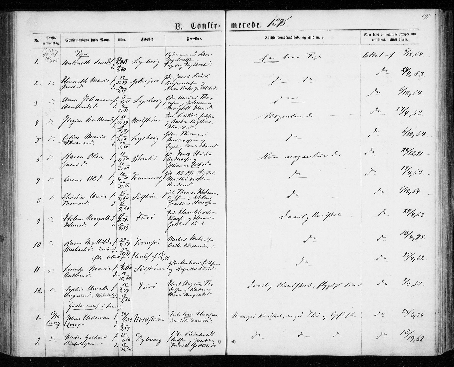 Tranøy sokneprestkontor, SATØ/S-1313/I/Ia/Iaa/L0008kirke: Parish register (official) no. 8, 1867-1877, p. 197