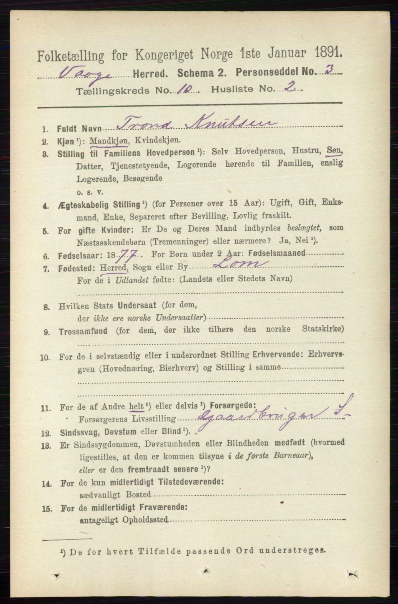 RA, 1891 census for 0515 Vågå, 1891, p. 6225