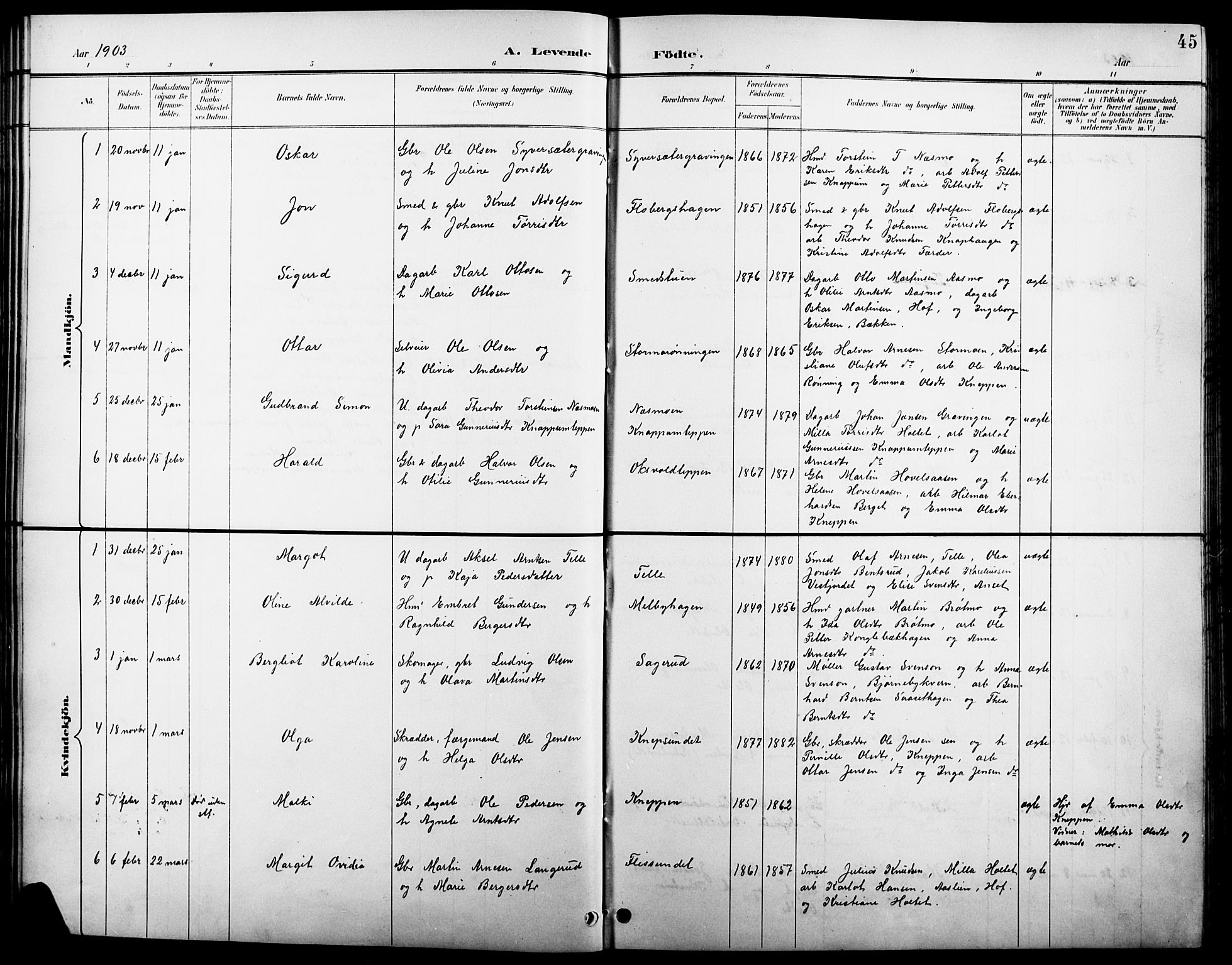 Åsnes prestekontor, SAH/PREST-042/H/Ha/Hab/L0004: Parish register (copy) no. 4, 1895-1909, p. 45