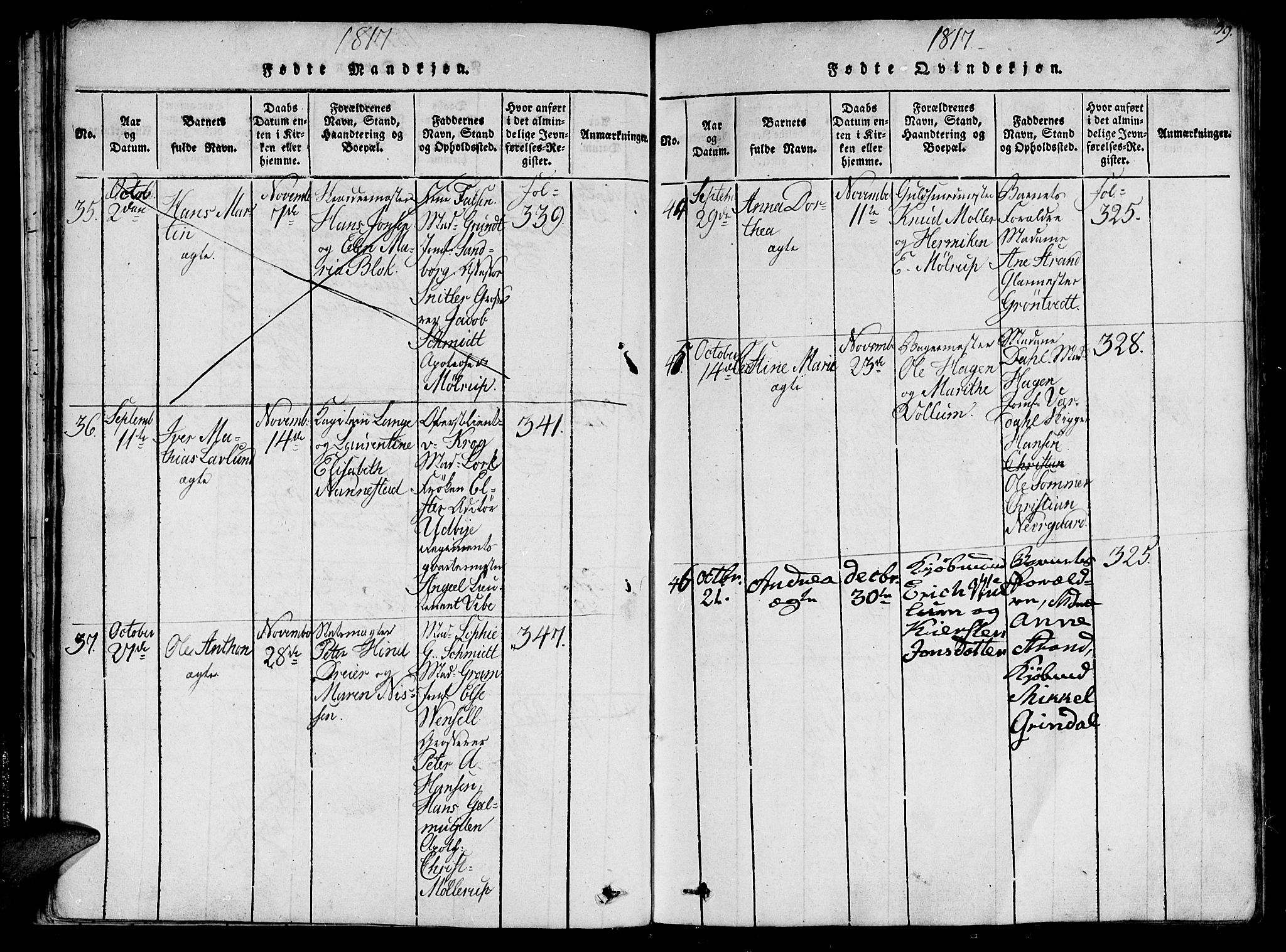 Ministerialprotokoller, klokkerbøker og fødselsregistre - Sør-Trøndelag, SAT/A-1456/602/L0107: Parish register (official) no. 602A05, 1815-1821, p. 39