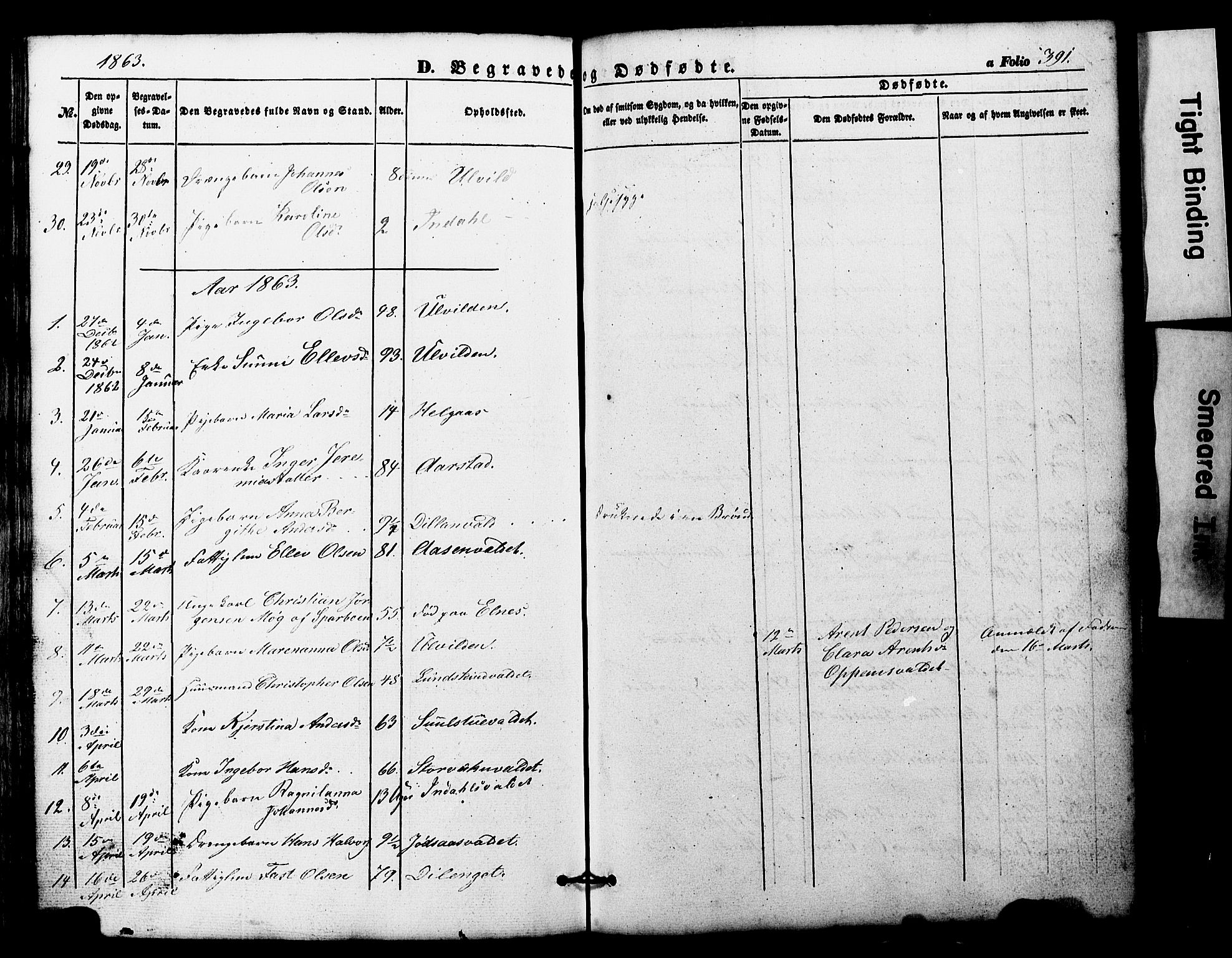 Ministerialprotokoller, klokkerbøker og fødselsregistre - Nord-Trøndelag, SAT/A-1458/724/L0268: Parish register (copy) no. 724C04, 1846-1878, p. 391