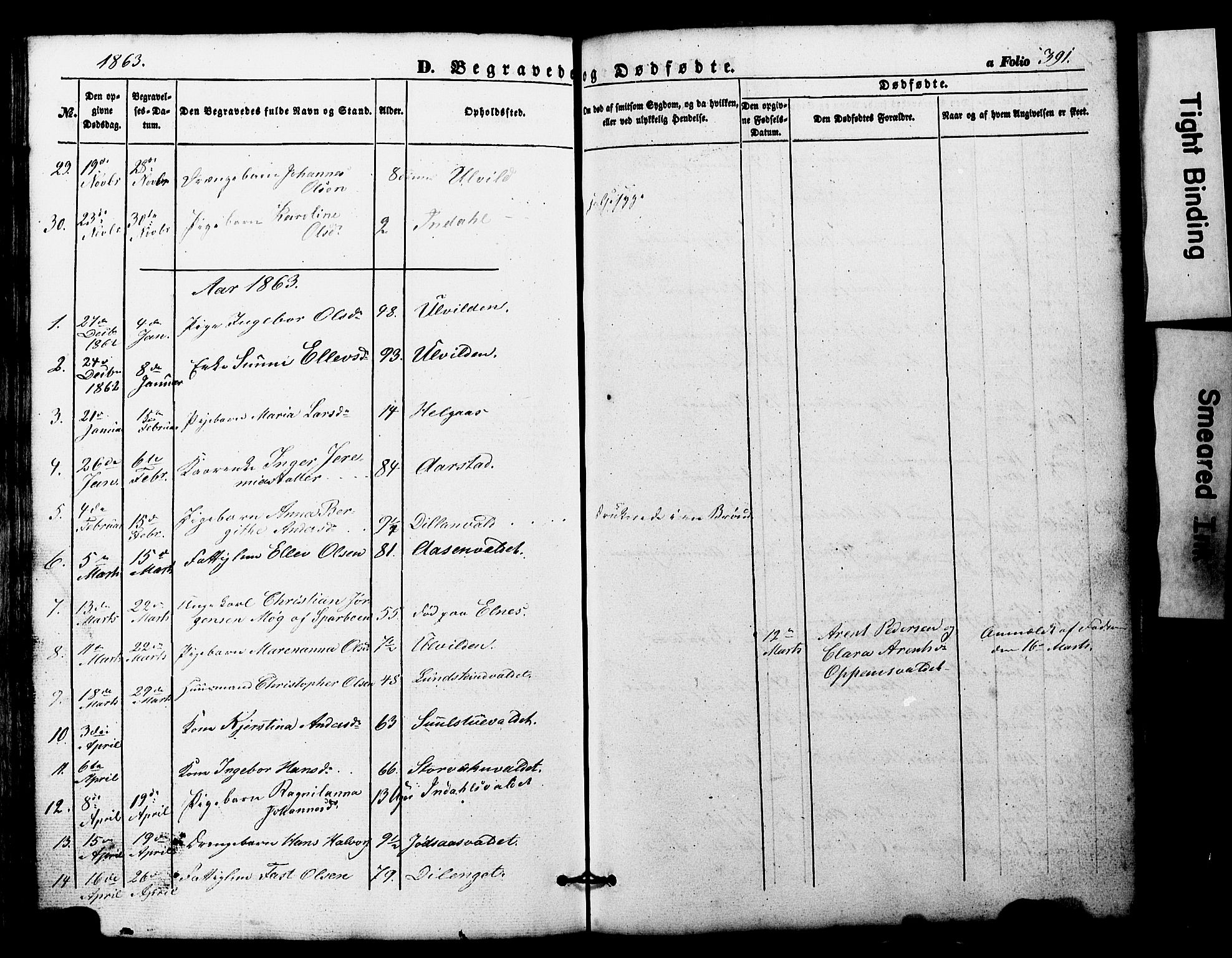 Ministerialprotokoller, klokkerbøker og fødselsregistre - Nord-Trøndelag, AV/SAT-A-1458/724/L0268: Parish register (copy) no. 724C04, 1846-1878, p. 391