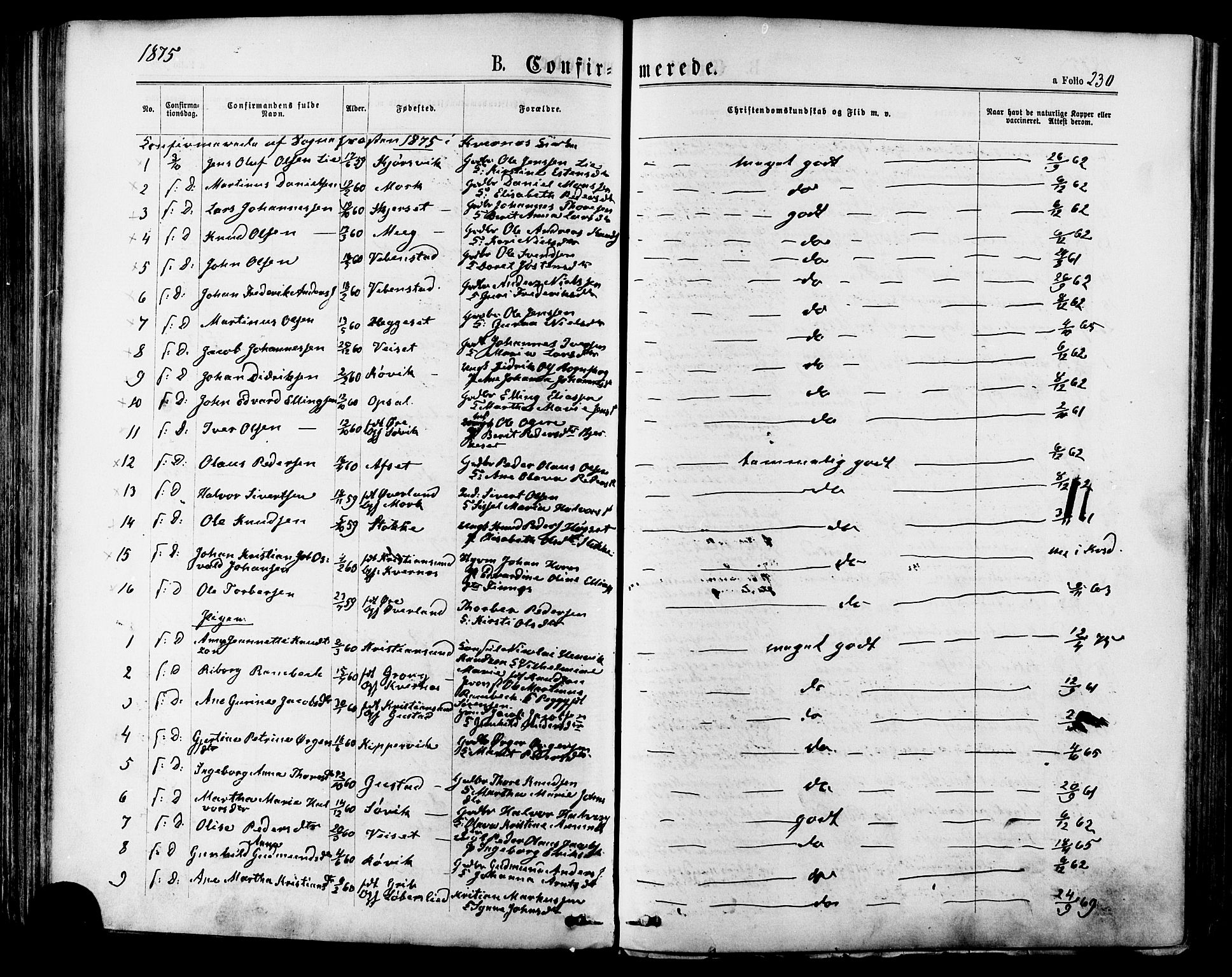 Ministerialprotokoller, klokkerbøker og fødselsregistre - Møre og Romsdal, SAT/A-1454/568/L0805: Parish register (official) no. 568A12 /1, 1869-1884, p. 230