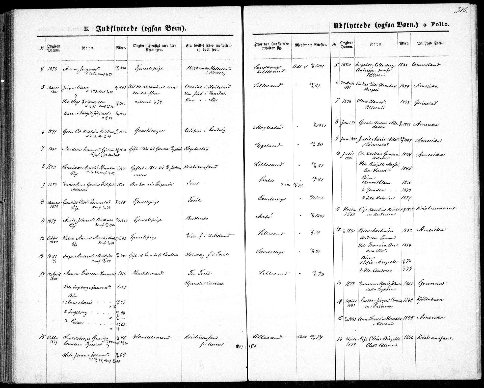 Vestre Moland sokneprestkontor, AV/SAK-1111-0046/F/Fb/Fbb/L0005: Parish register (copy) no. B 5, 1872-1883, p. 310