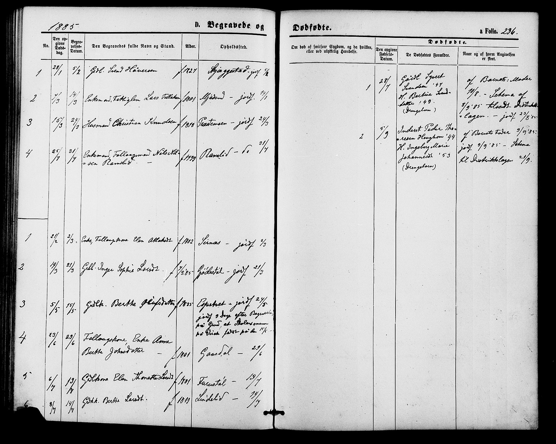 Bakke sokneprestkontor, AV/SAK-1111-0002/F/Fa/Faa/L0007: Parish register (official) no. A 7, 1877-1886, p. 236