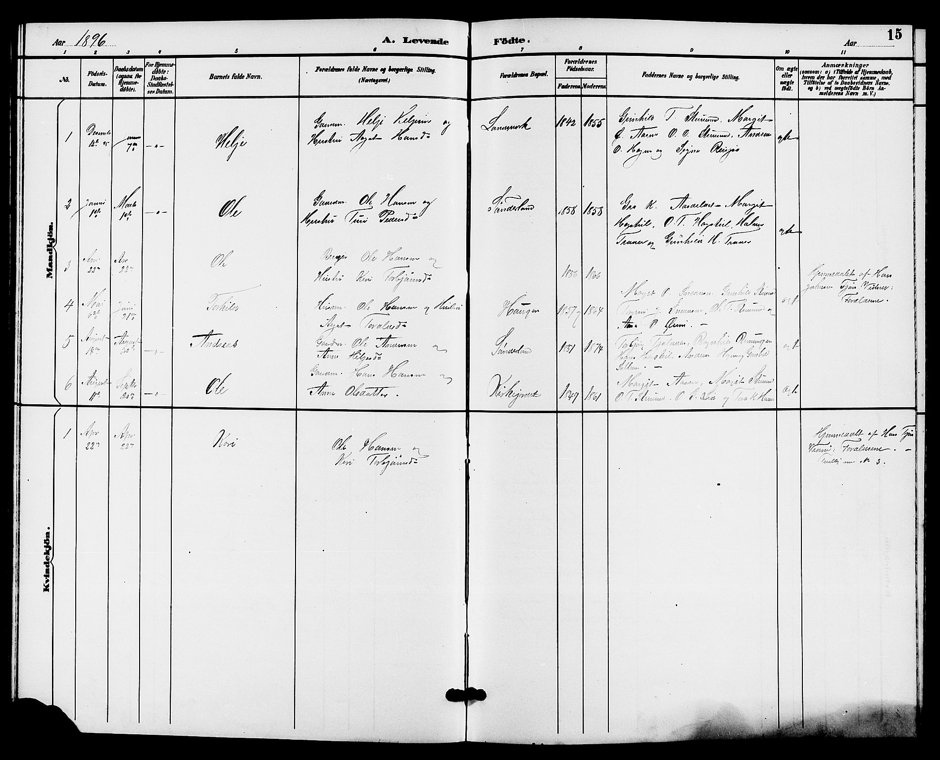 Hjartdal kirkebøker, SAKO/A-270/G/Gc/L0003: Parish register (copy) no. III 3, 1890-1907, p. 15