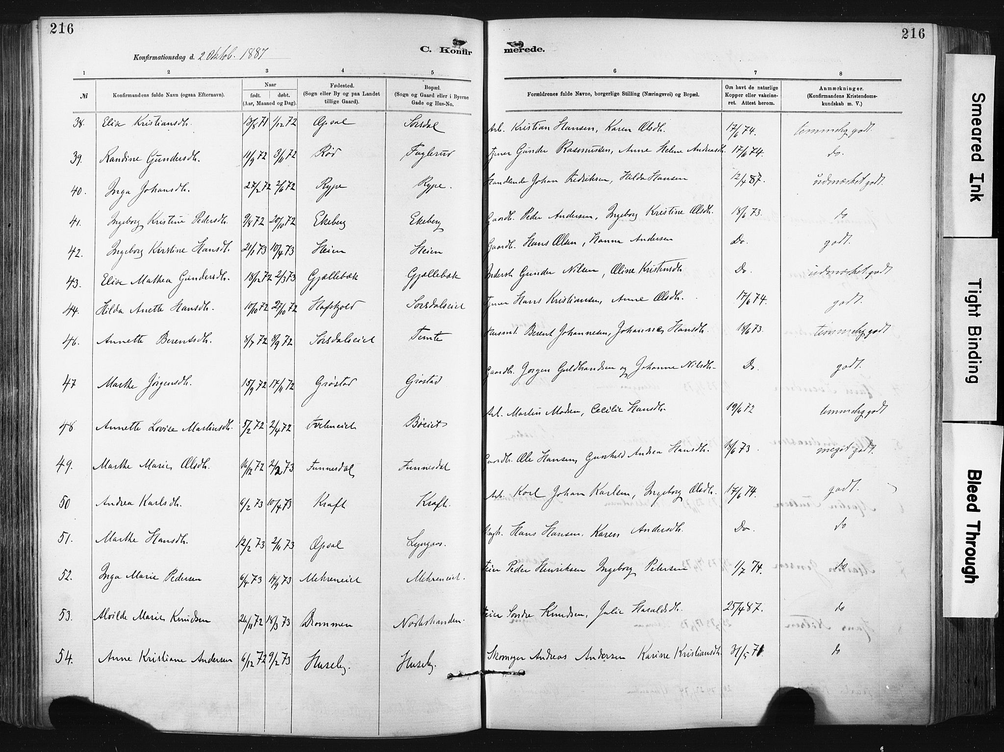 Lier kirkebøker, SAKO/A-230/F/Fa/L0015: Parish register (official) no. I 15, 1883-1894, p. 216