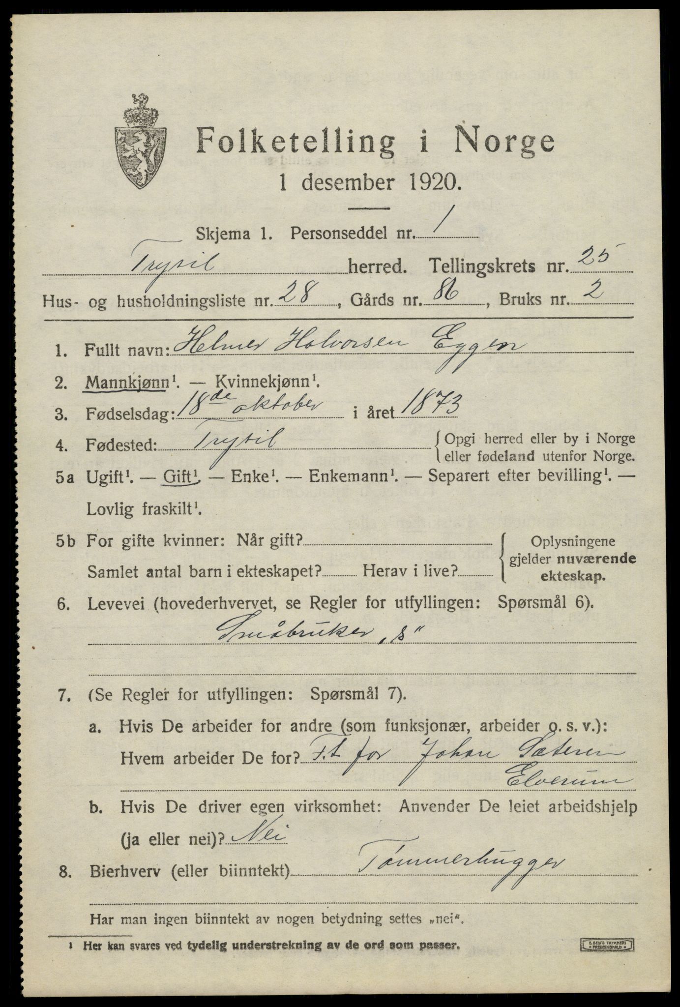 SAH, 1920 census for Trysil, 1920, p. 16007
