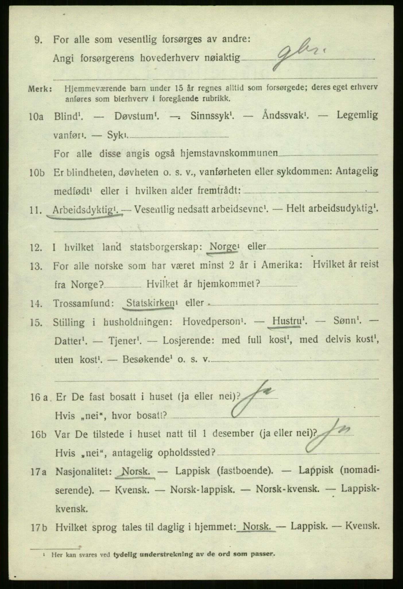 SATØ, 1920 census for Nordreisa, 1920, p. 2982