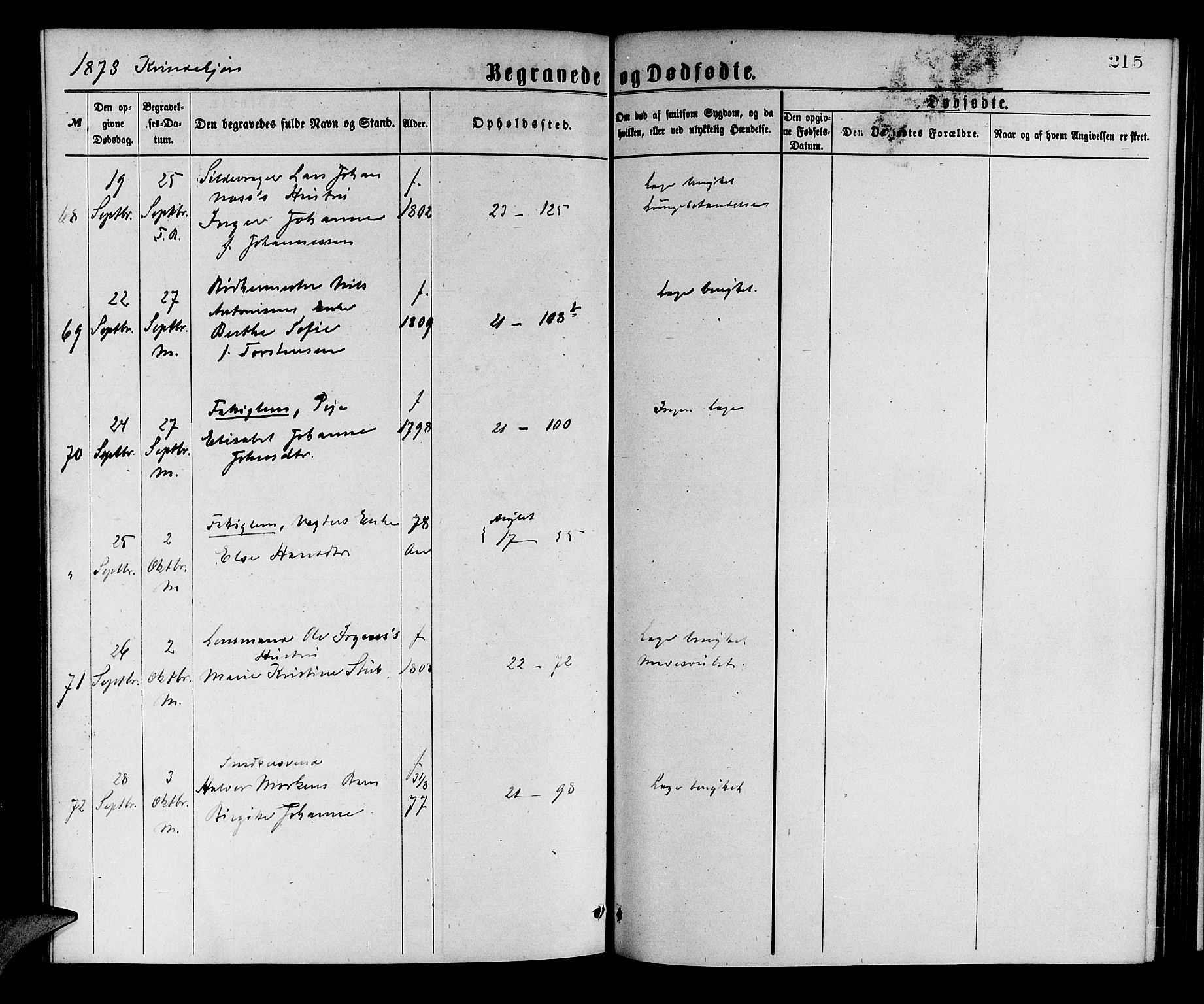 Korskirken sokneprestembete, AV/SAB-A-76101/H/Hab: Parish register (copy) no. E 3, 1871-1883, p. 215