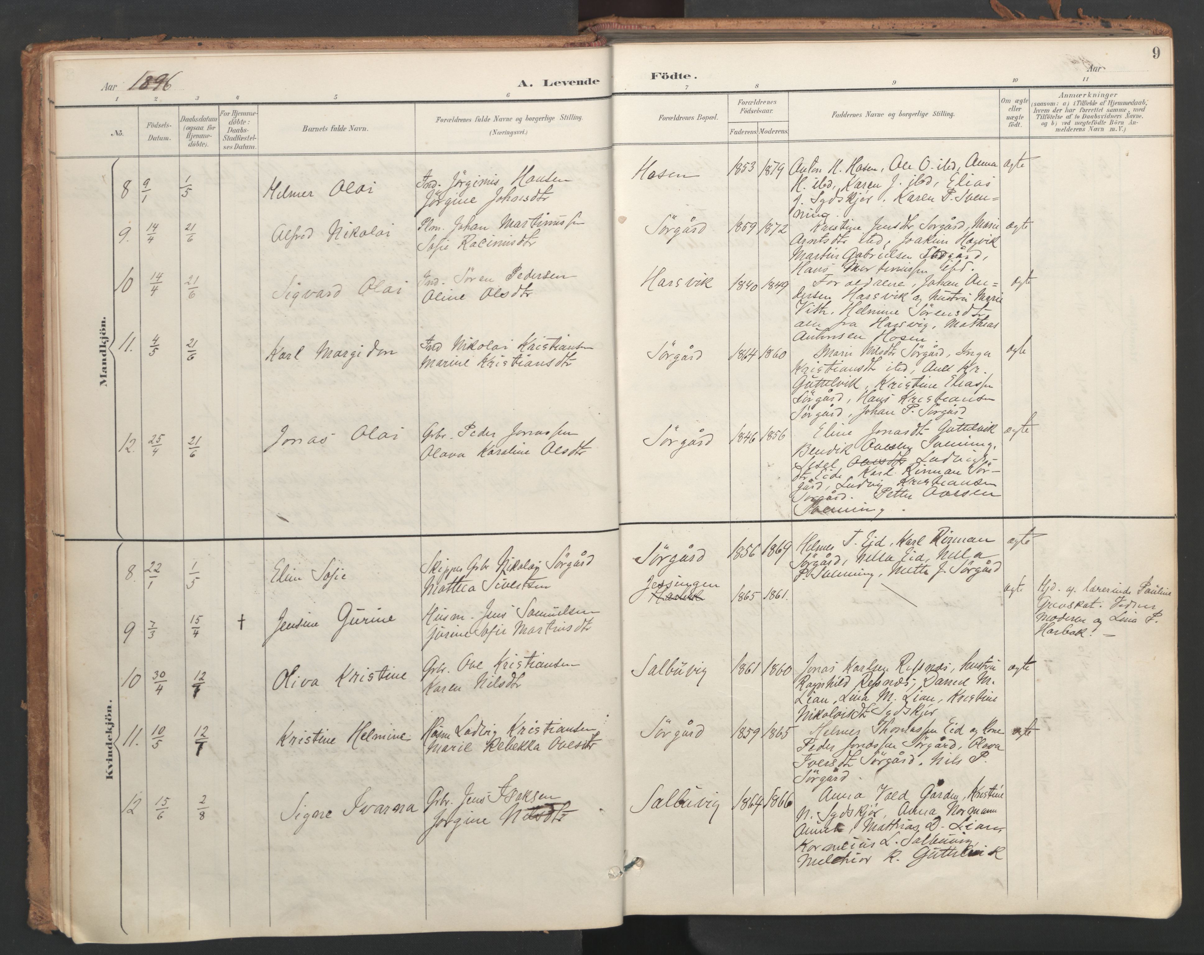 Ministerialprotokoller, klokkerbøker og fødselsregistre - Sør-Trøndelag, SAT/A-1456/656/L0693: Parish register (official) no. 656A02, 1894-1913, p. 9