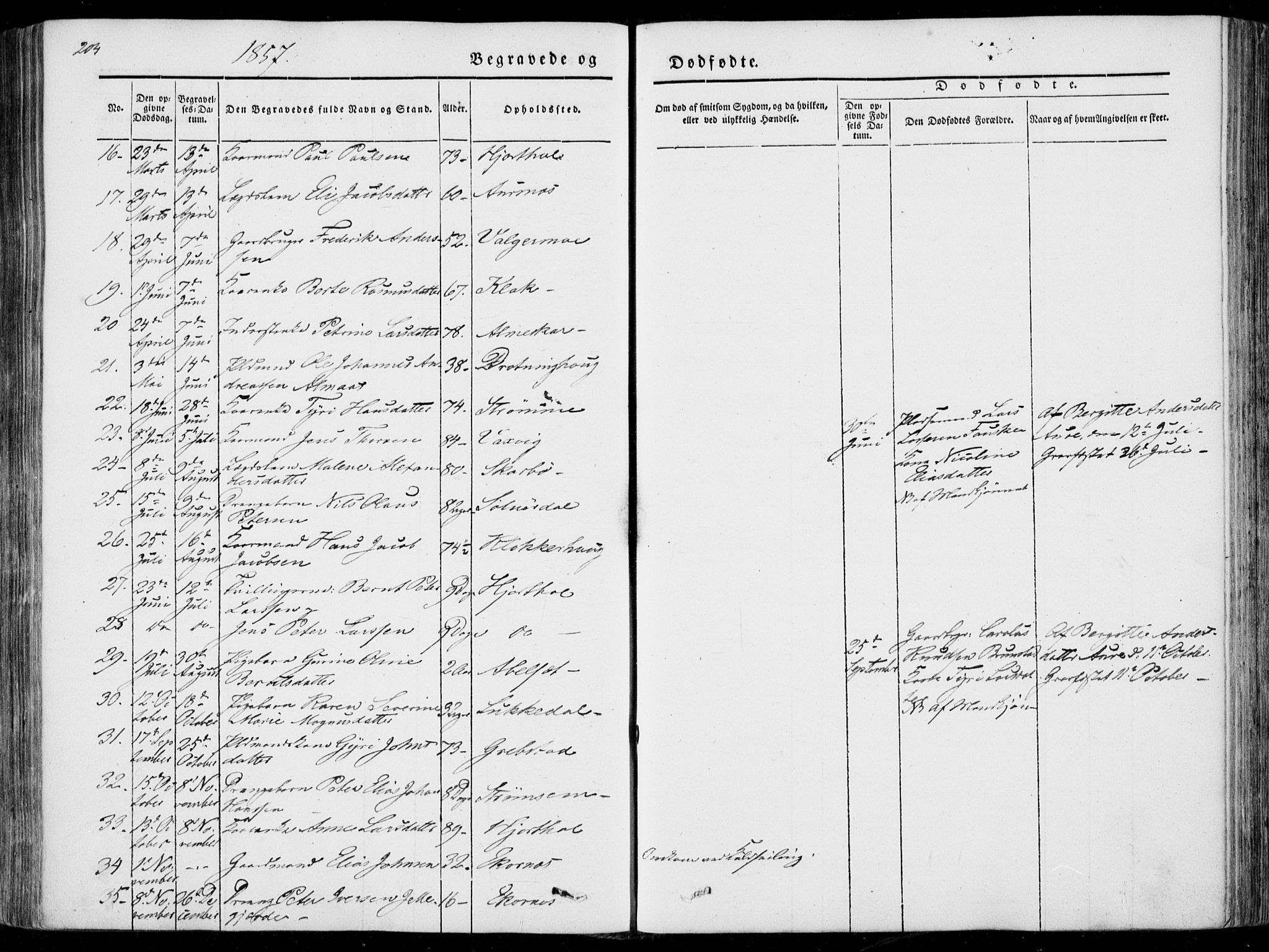 Ministerialprotokoller, klokkerbøker og fødselsregistre - Møre og Romsdal, AV/SAT-A-1454/522/L0313: Parish register (official) no. 522A08, 1852-1862, p. 204