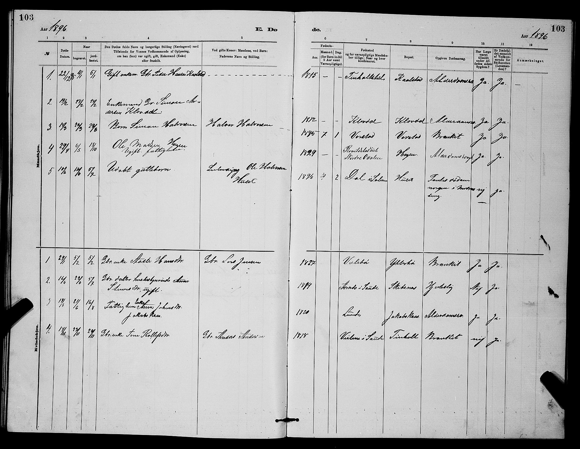 Holla kirkebøker, SAKO/A-272/G/Gb/L0001: Parish register (copy) no. II 1, 1882-1897, p. 103