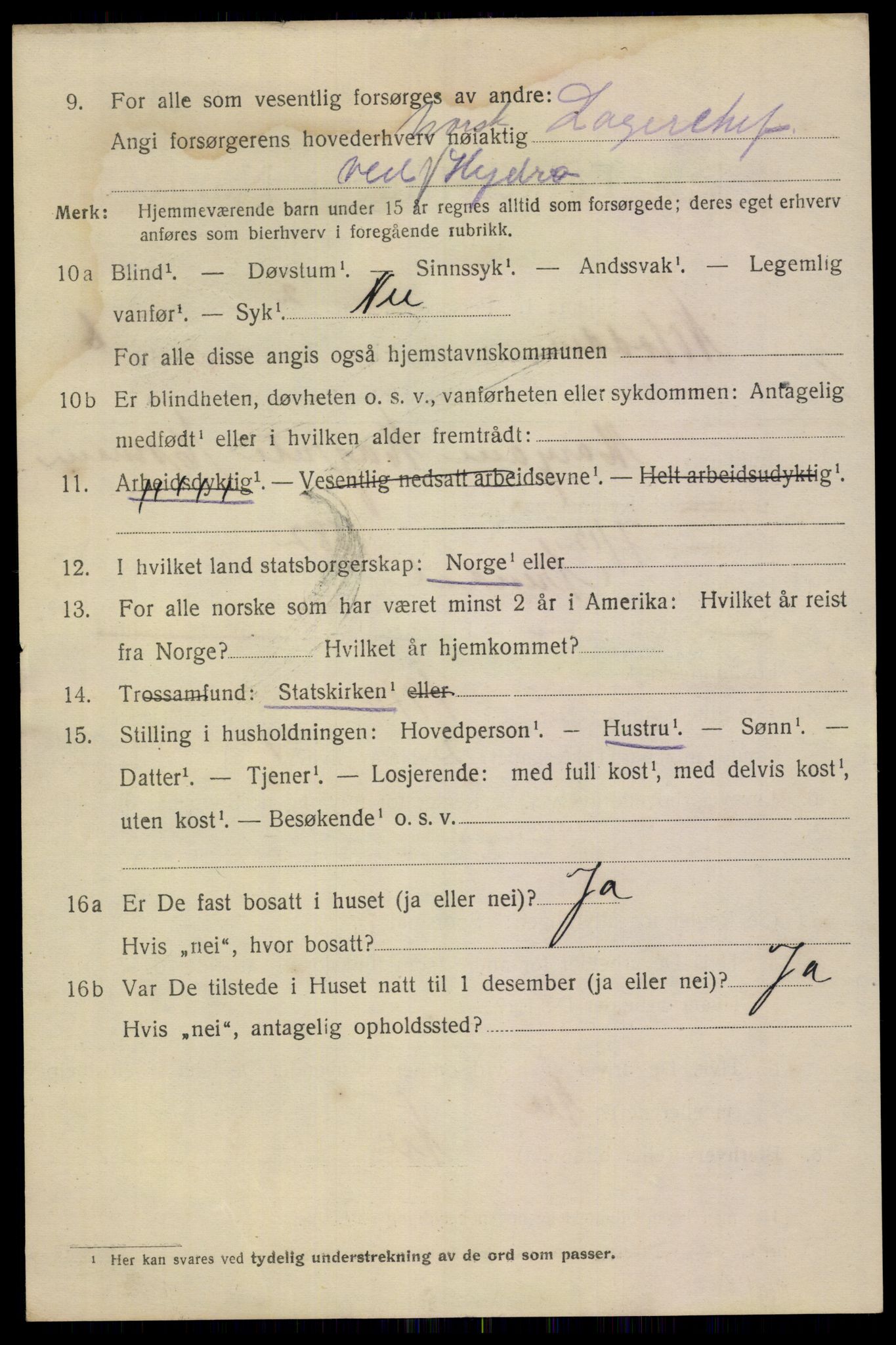 SAKO, 1920 census for Notodden, 1920, p. 13135