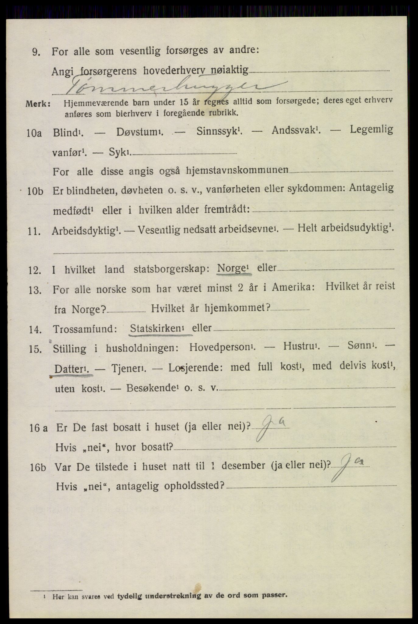 SAH, 1920 census for Trysil, 1920, p. 14104