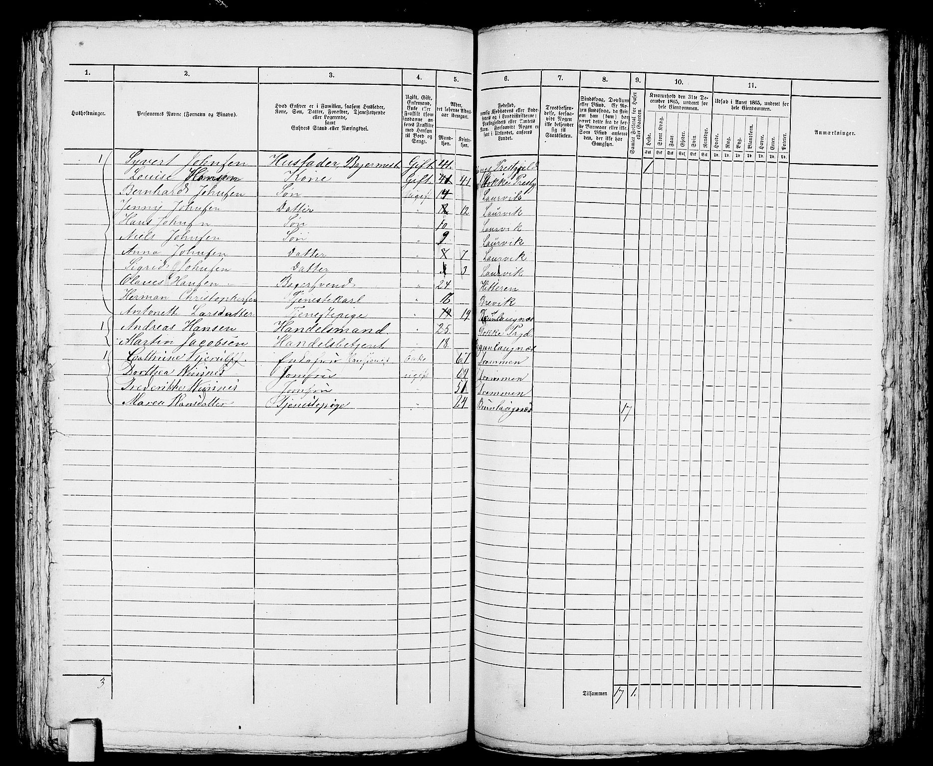 RA, 1865 census for Larvik, 1865, p. 501