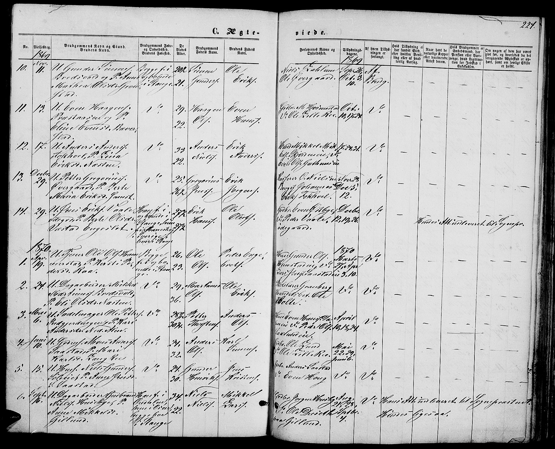 Stange prestekontor, AV/SAH-PREST-002/L/L0006: Parish register (copy) no. 6, 1864-1882, p. 224