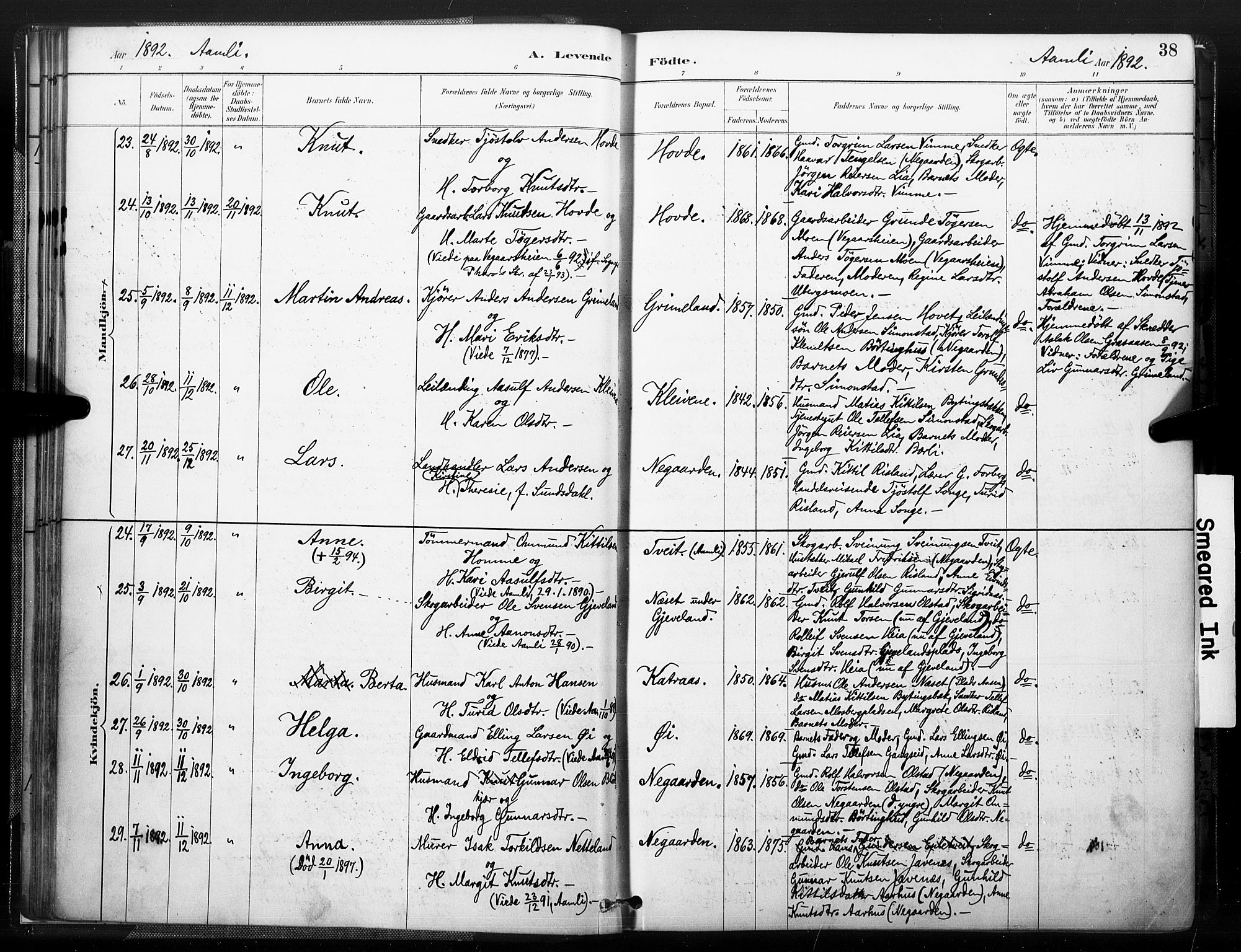 Åmli sokneprestkontor, AV/SAK-1111-0050/F/Fa/Fac/L0010: Parish register (official) no. A 10 /1, 1885-1899, p. 38