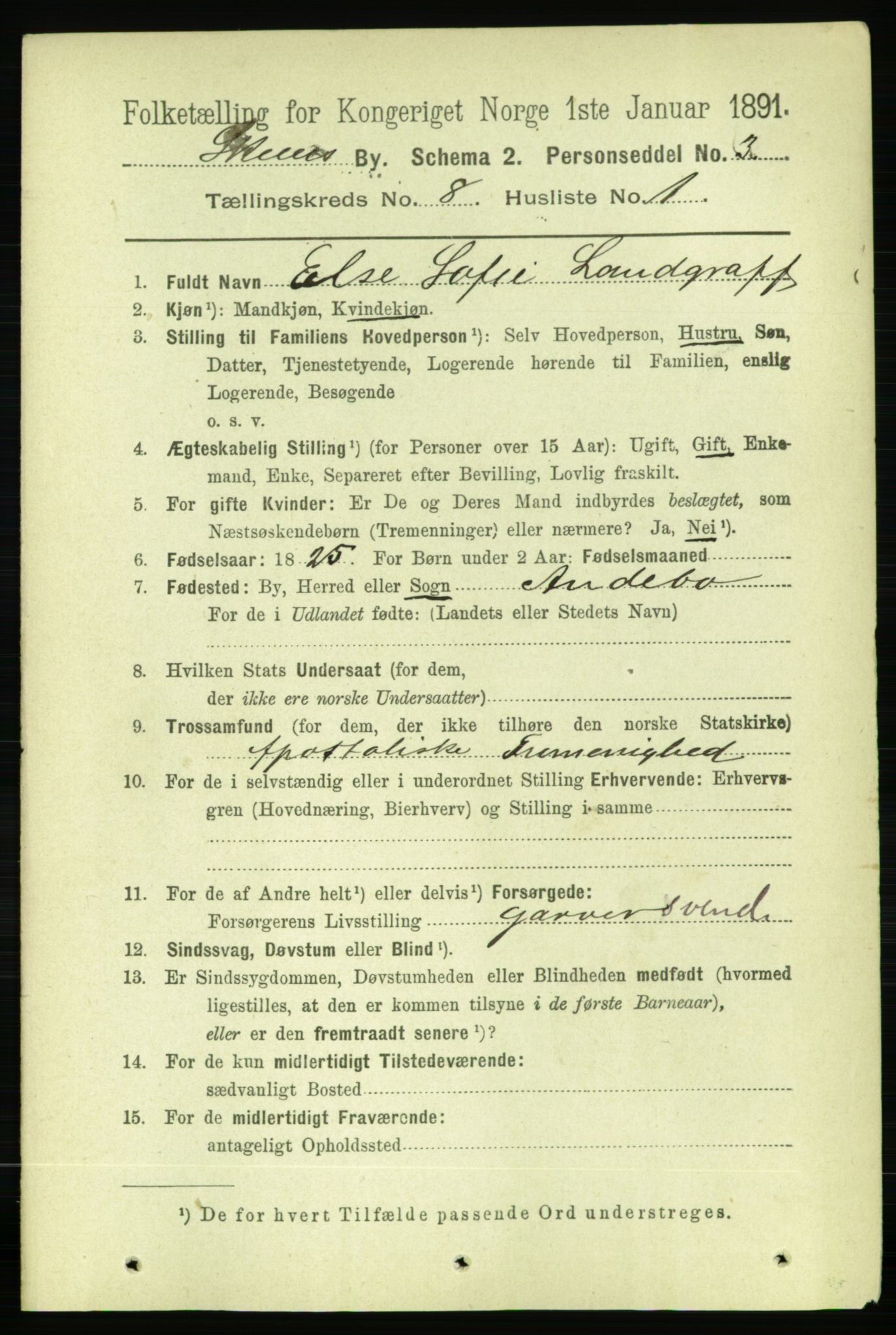 RA, 1891 census for 0806 Skien, 1891, p. 3270