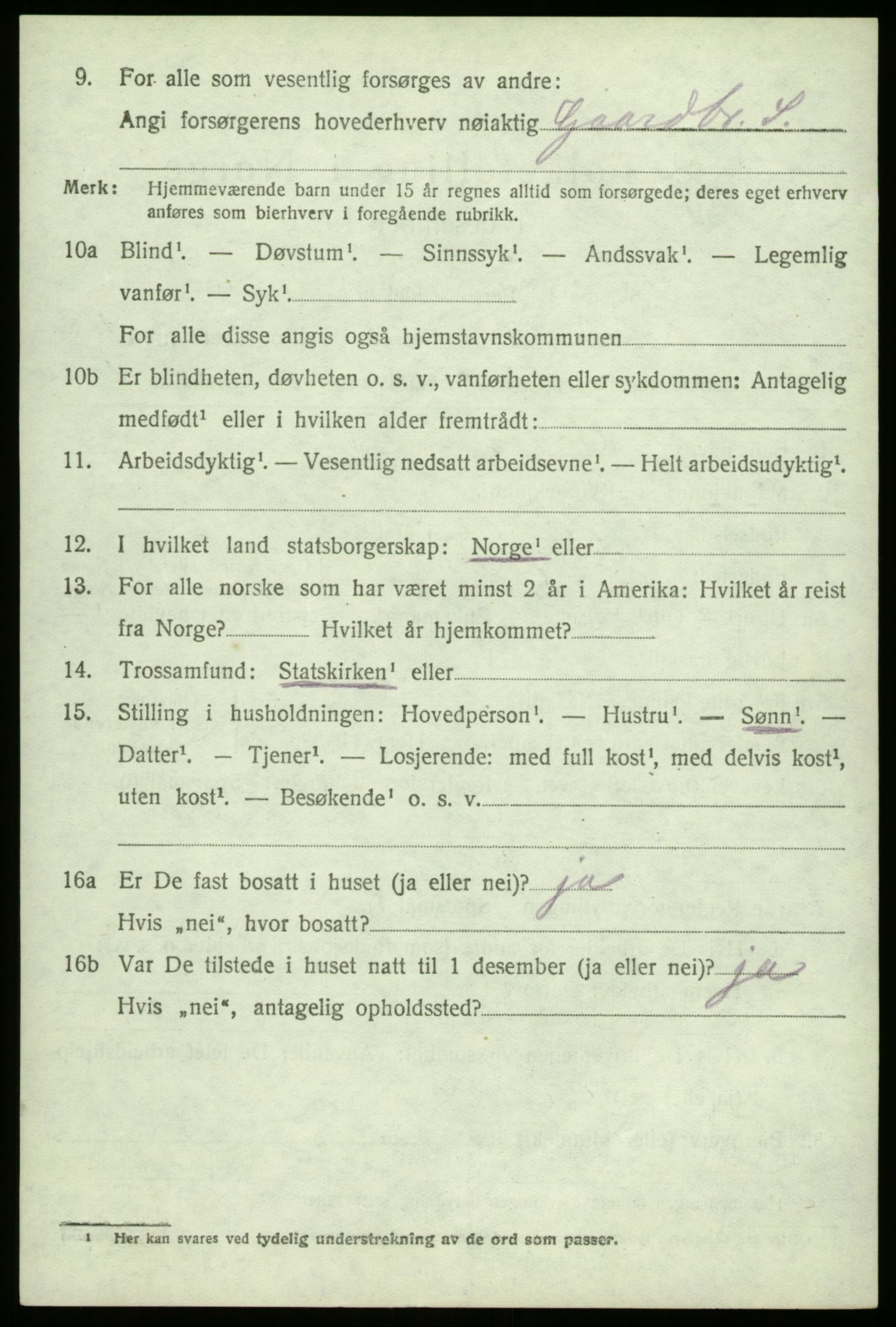 SAO, 1920 census for Borge, 1920, p. 2228