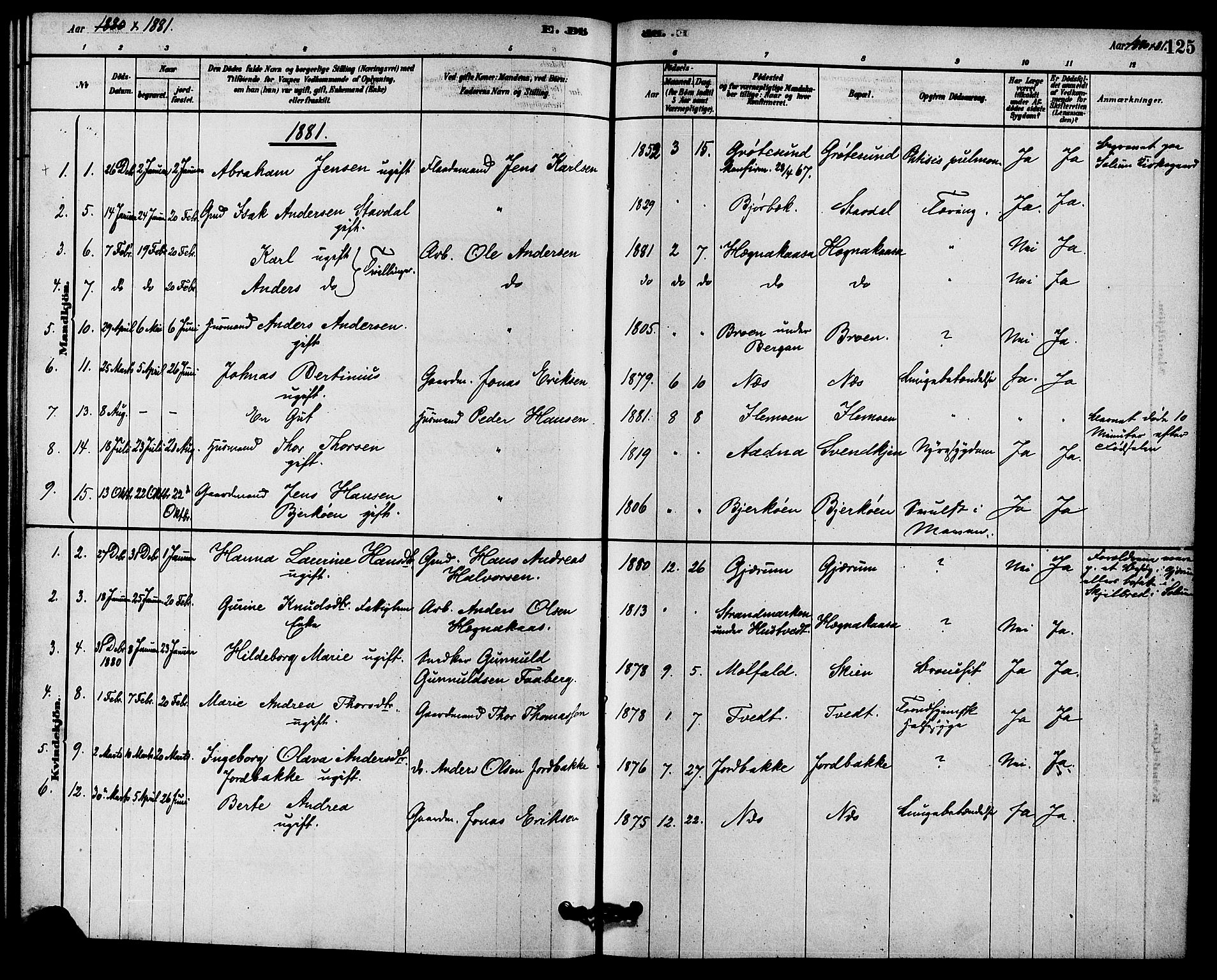 Solum kirkebøker, SAKO/A-306/F/Fb/L0001: Parish register (official) no. II 1, 1877-1892, p. 125