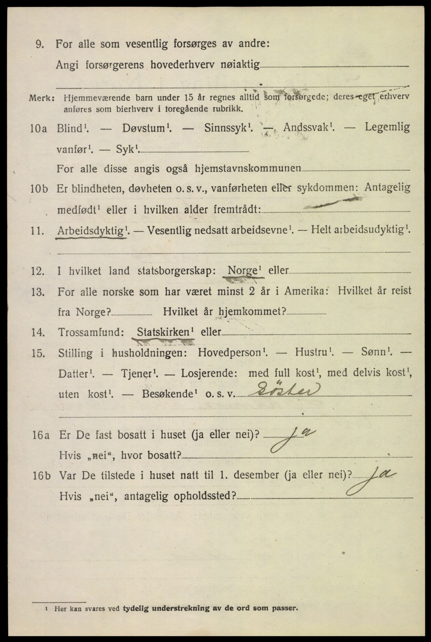 SAH, 1920 census for Biri, 1920, p. 4204