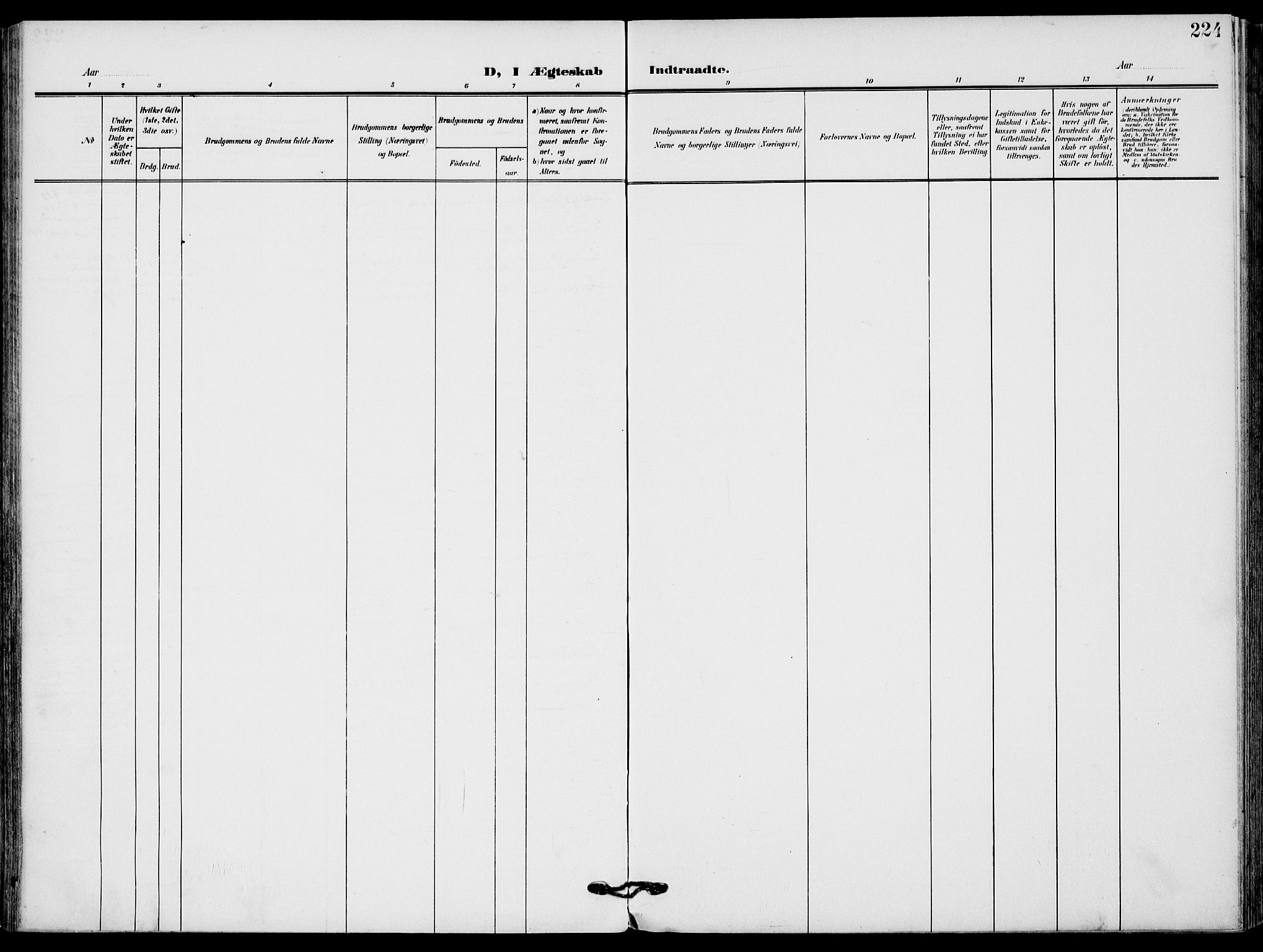 Sandefjord kirkebøker, AV/SAKO-A-315/F/Fa/L0005: Parish register (official) no. 5, 1906-1915, p. 224