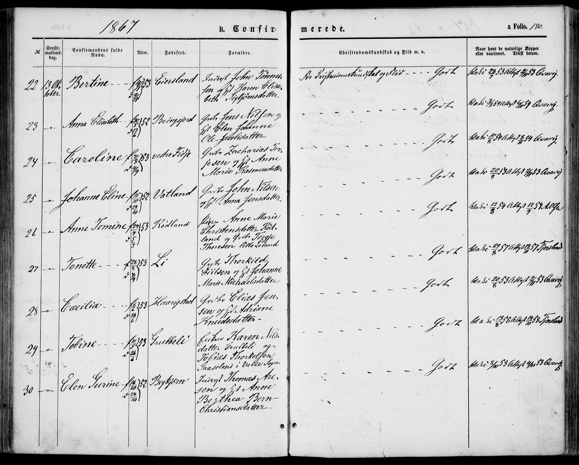 Lyngdal sokneprestkontor, SAK/1111-0029/F/Fa/Fac/L0010: Parish register (official) no. A 10, 1865-1878, p. 180