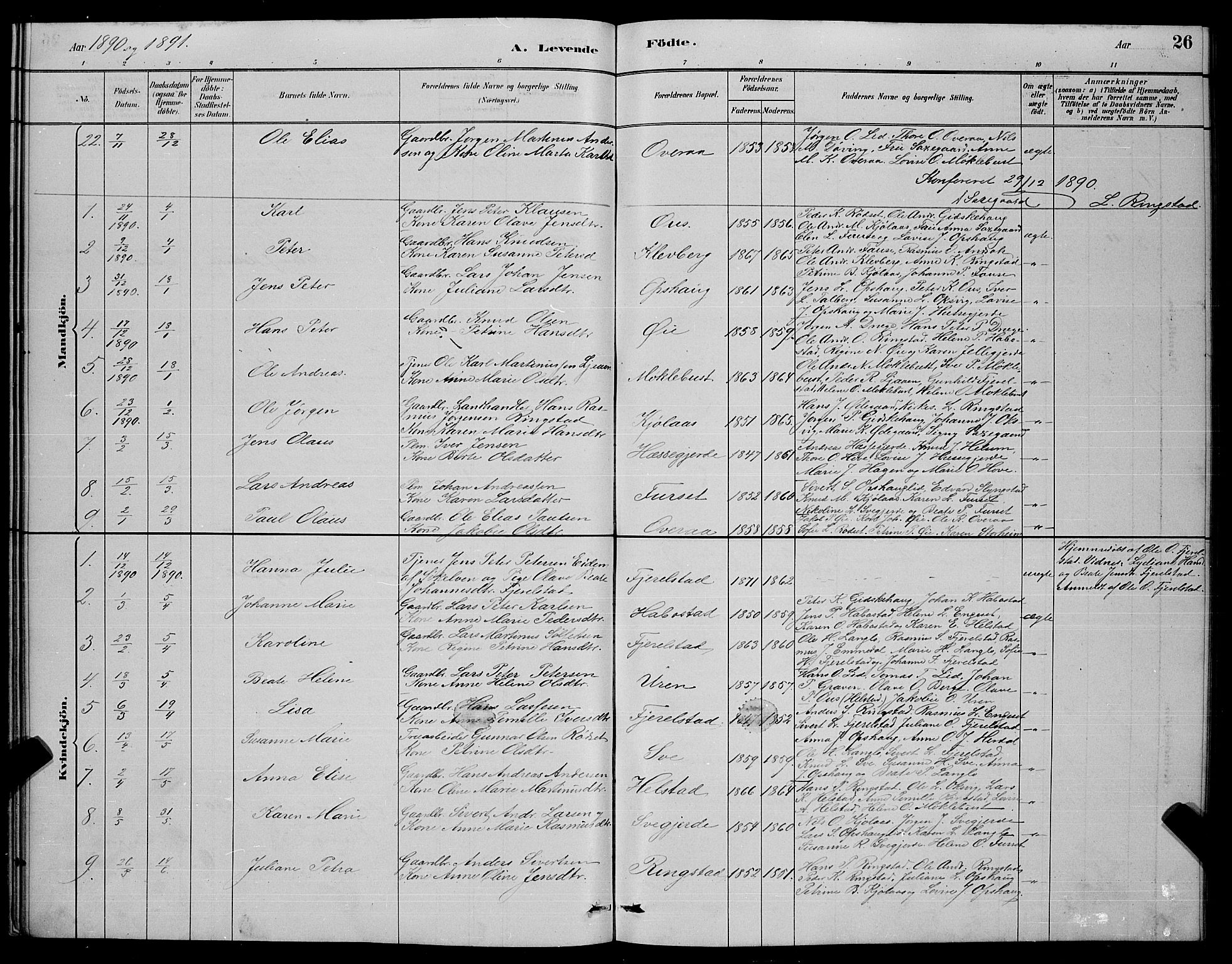 Ministerialprotokoller, klokkerbøker og fødselsregistre - Møre og Romsdal, AV/SAT-A-1454/520/L0292: Parish register (copy) no. 520C04, 1882-1901, p. 26