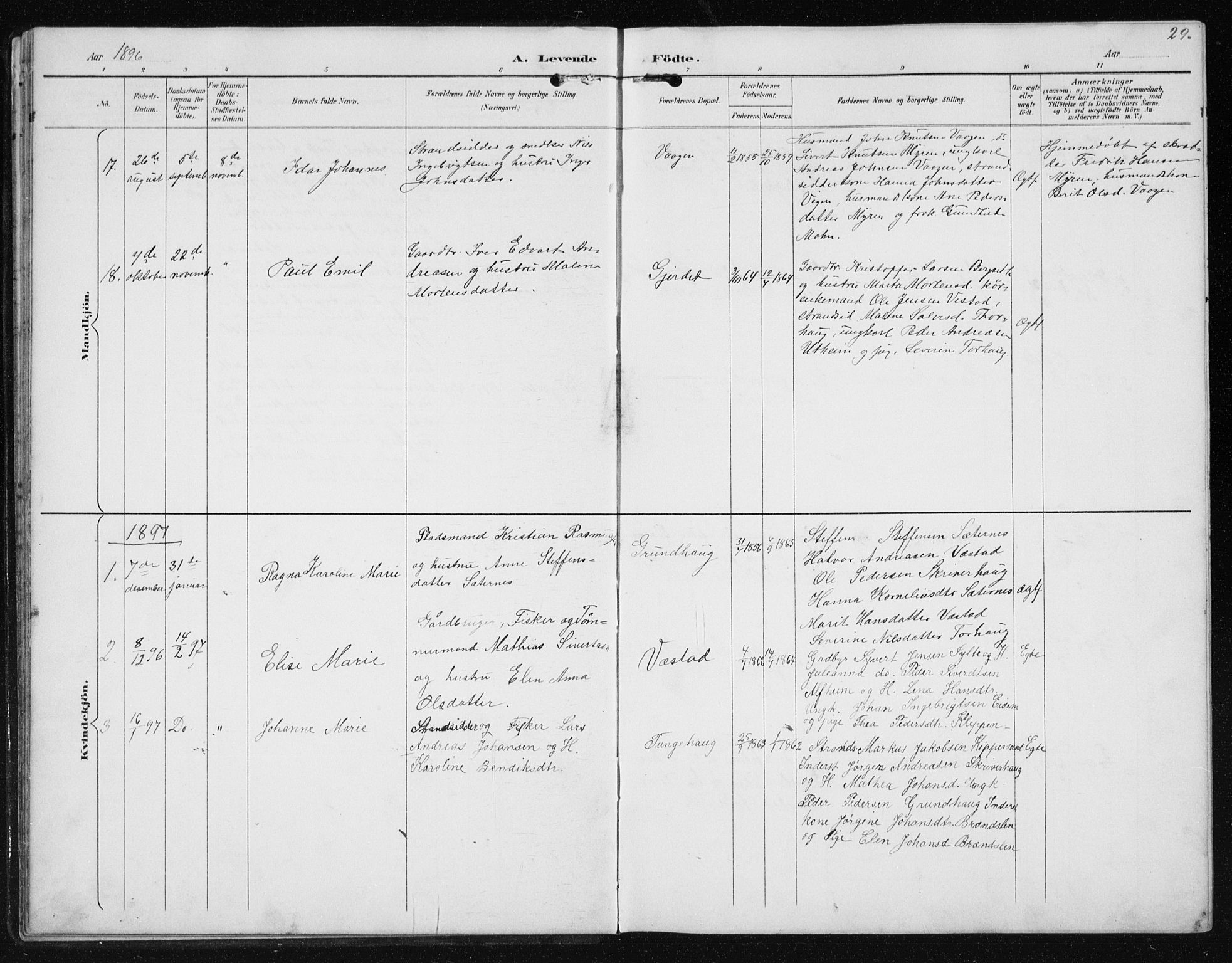 Ministerialprotokoller, klokkerbøker og fødselsregistre - Møre og Romsdal, AV/SAT-A-1454/566/L0773: Parish register (copy) no. 566C02, 1892-1909, p. 29