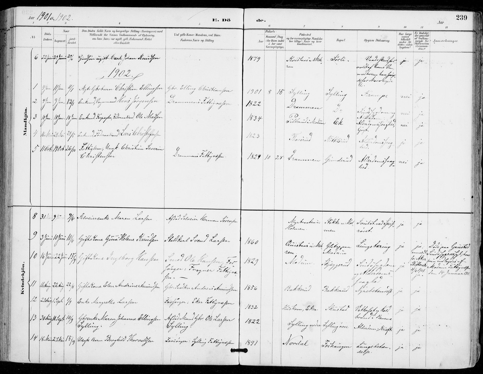 Sylling kirkebøker, SAKO/A-247/F/Fa/L0001: Parish register (official) no. 1, 1883-1910, p. 239