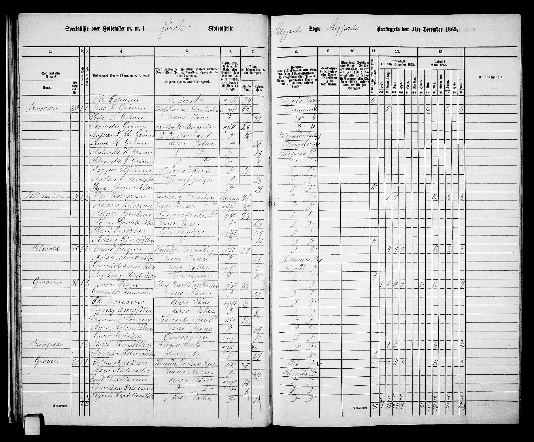 RA, 1865 census for Seljord, 1865, p. 26