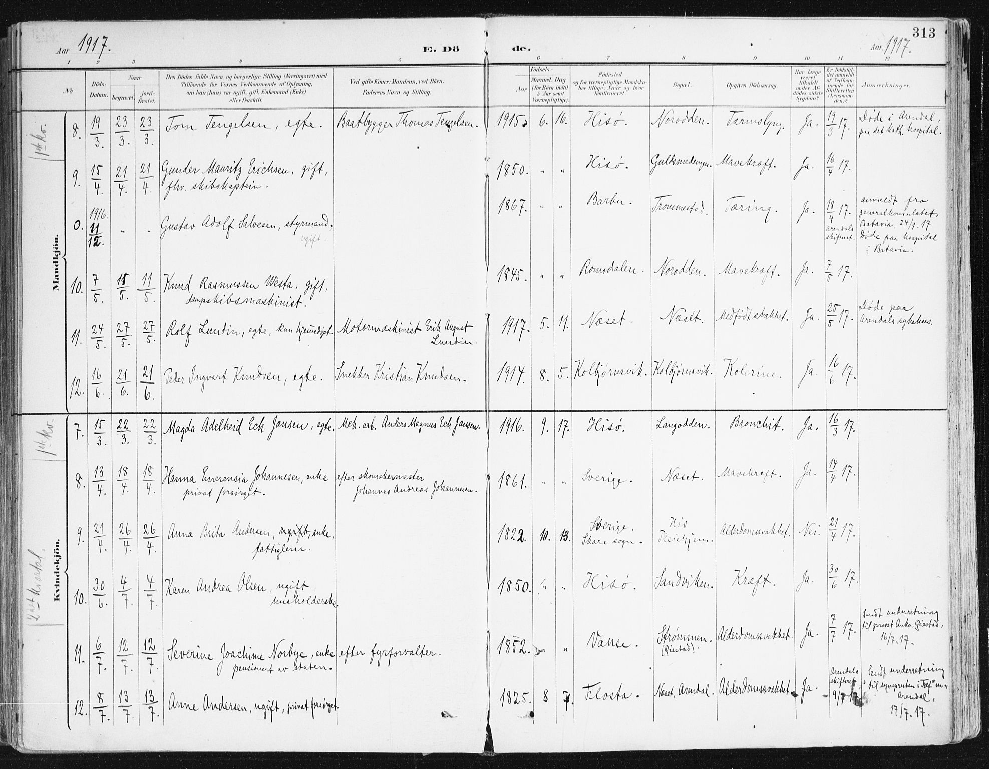 Hisøy sokneprestkontor, AV/SAK-1111-0020/F/Fa/L0004: Parish register (official) no. A 4, 1895-1917, p. 313