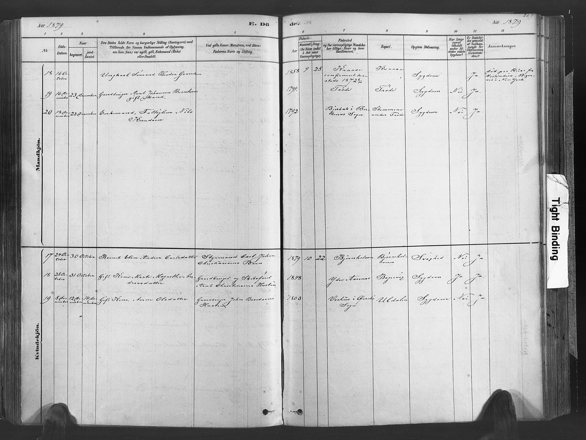 Høvåg sokneprestkontor, SAK/1111-0025/F/Fa/L0005: Parish register (official) no. A 5, 1878-1893, p. 267