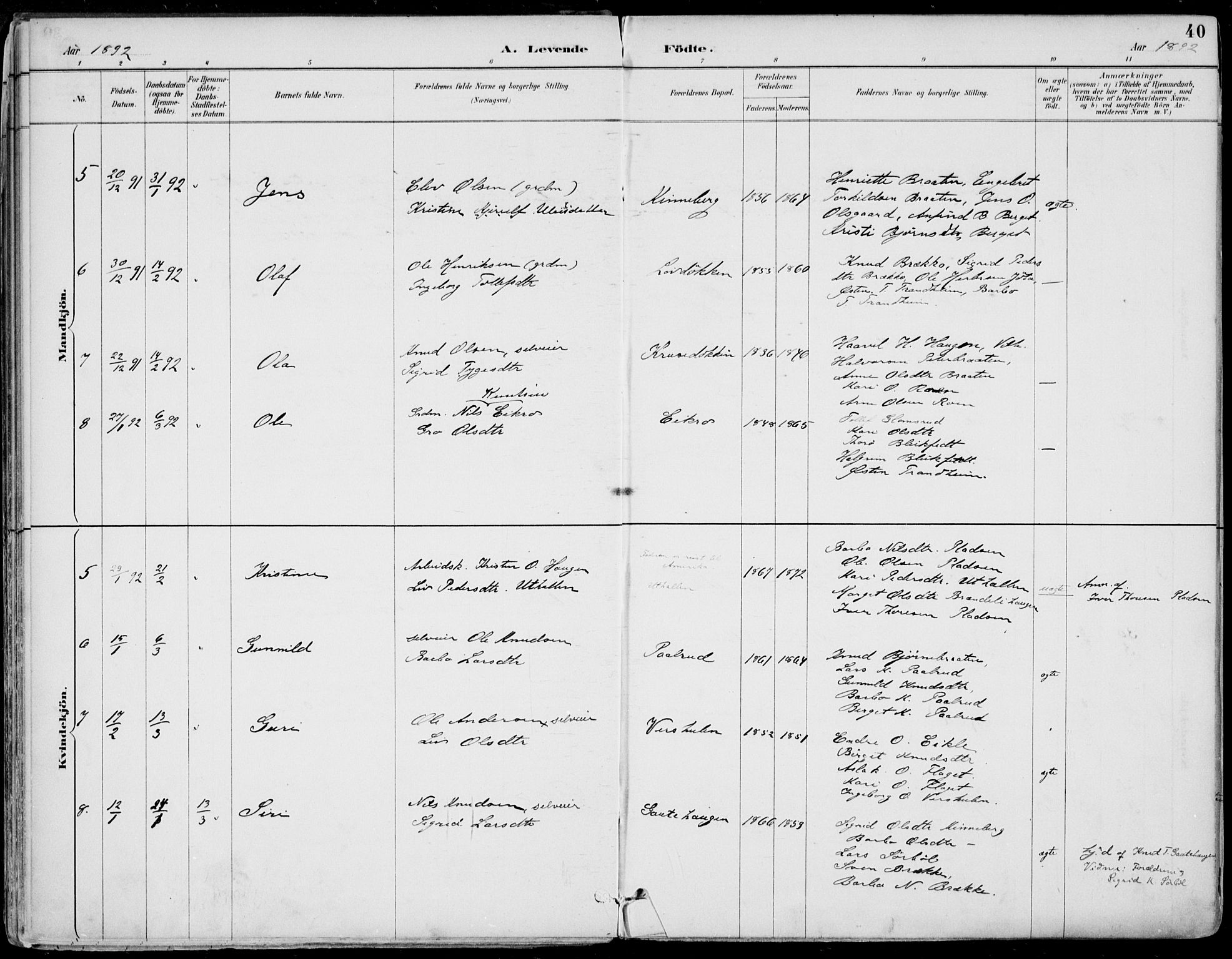 Gol kirkebøker, AV/SAKO-A-226/F/Fa/L0005: Parish register (official) no. I 5, 1887-1900, p. 40