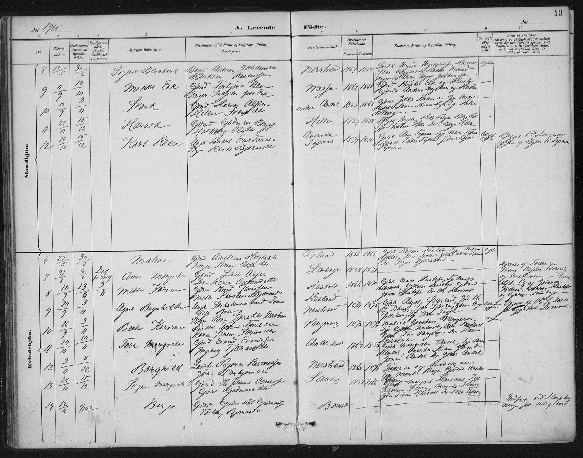 Nedstrand sokneprestkontor, SAST/A-101841/01/IV: Parish register (official) no. A 12, 1887-1915, p. 49