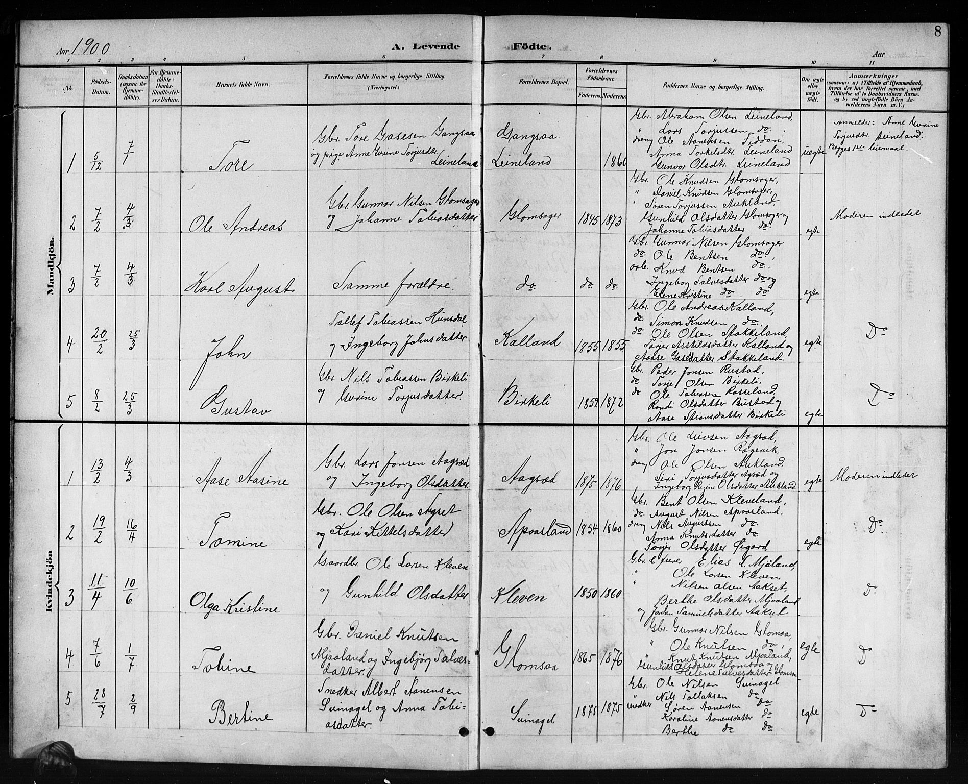 Holum sokneprestkontor, AV/SAK-1111-0022/F/Fb/Fbb/L0004: Parish register (copy) no. B 4, 1899-1920, p. 8