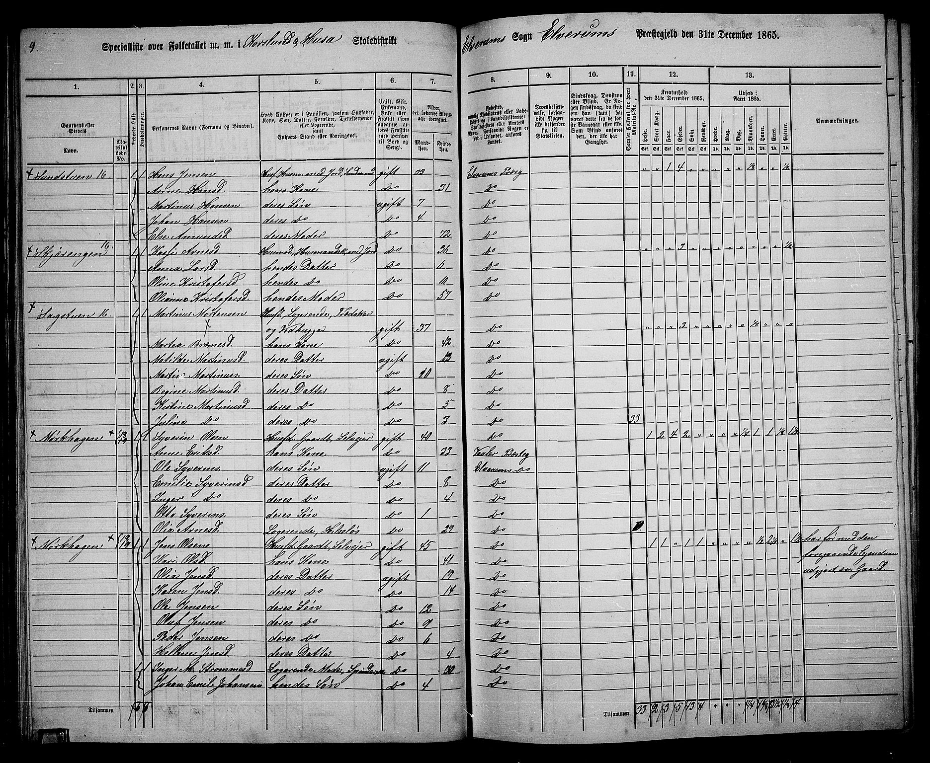 RA, 1865 census for Elverum, 1865, p. 46