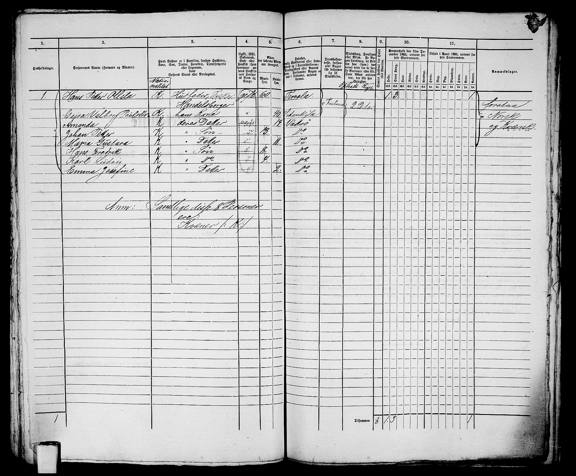 RA, 1865 census for Vadsø/Vadsø, 1865, p. 249