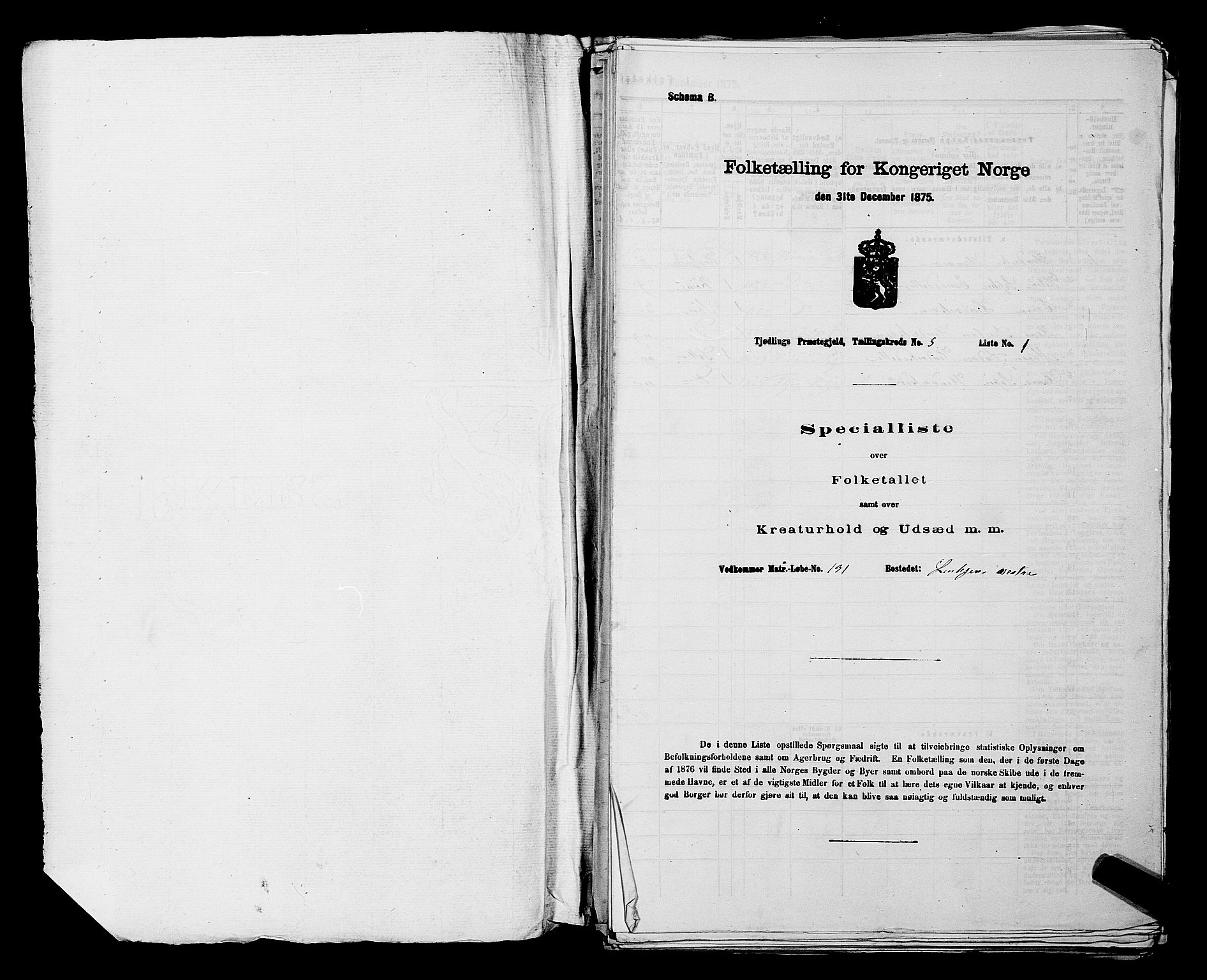 SAKO, 1875 census for 0725P Tjølling, 1875, p. 881