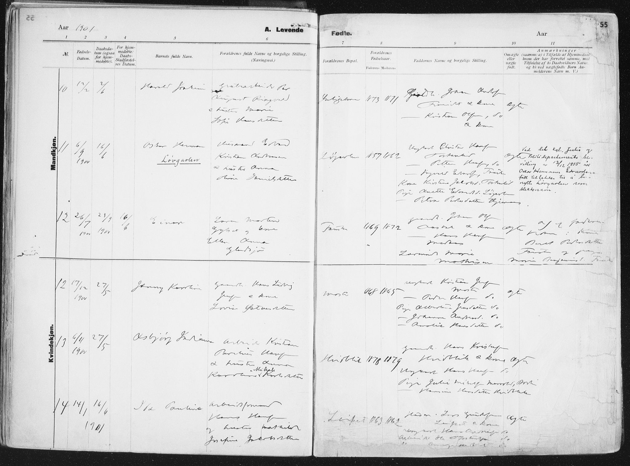 Ministerialprotokoller, klokkerbøker og fødselsregistre - Nordland, AV/SAT-A-1459/849/L0696: Parish register (official) no. 849A08, 1898-1910, p. 55