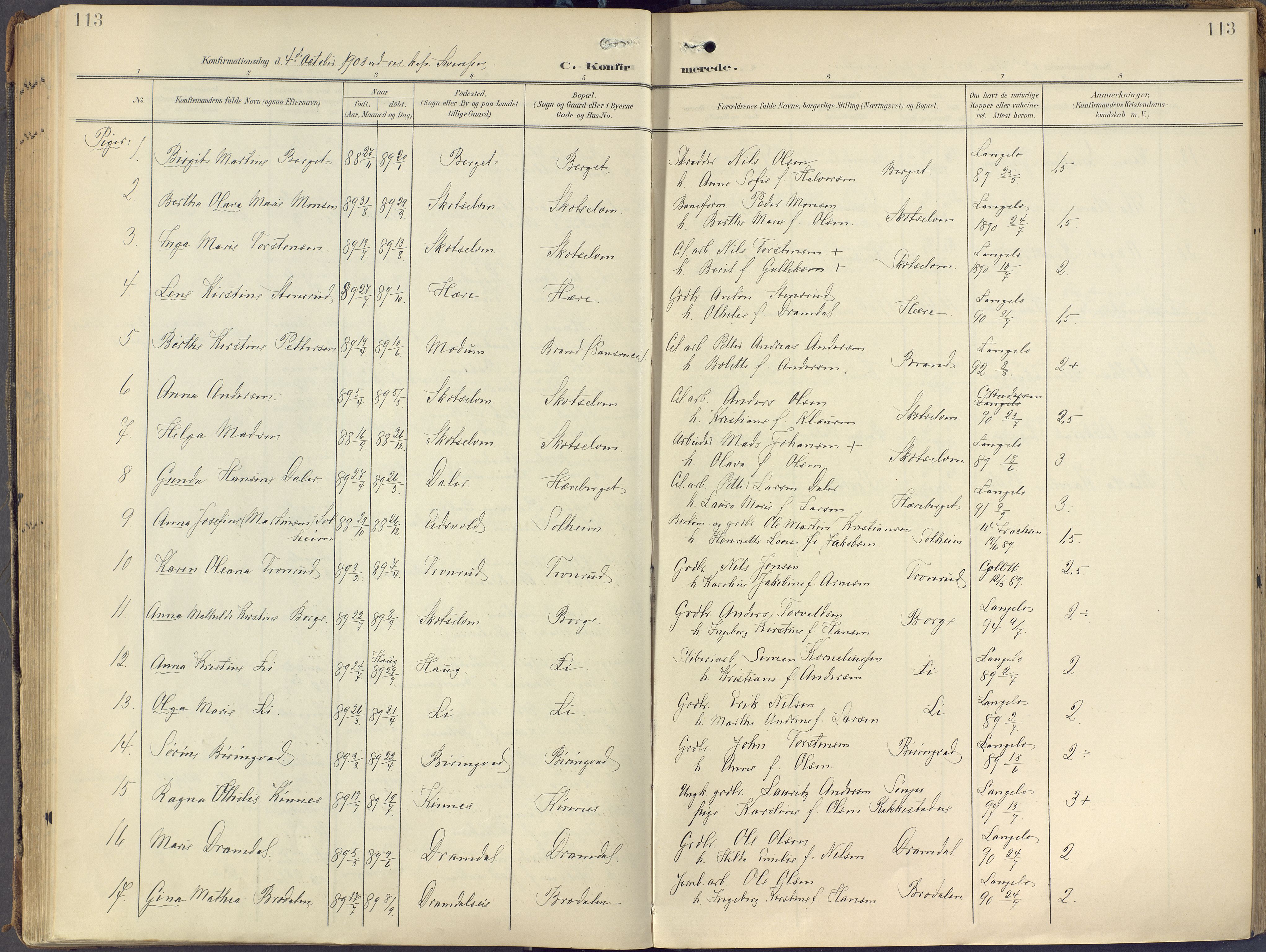 Eiker kirkebøker, AV/SAKO-A-4/F/Fc/L0004: Parish register (official) no. III 4, 1900-1919, p. 113